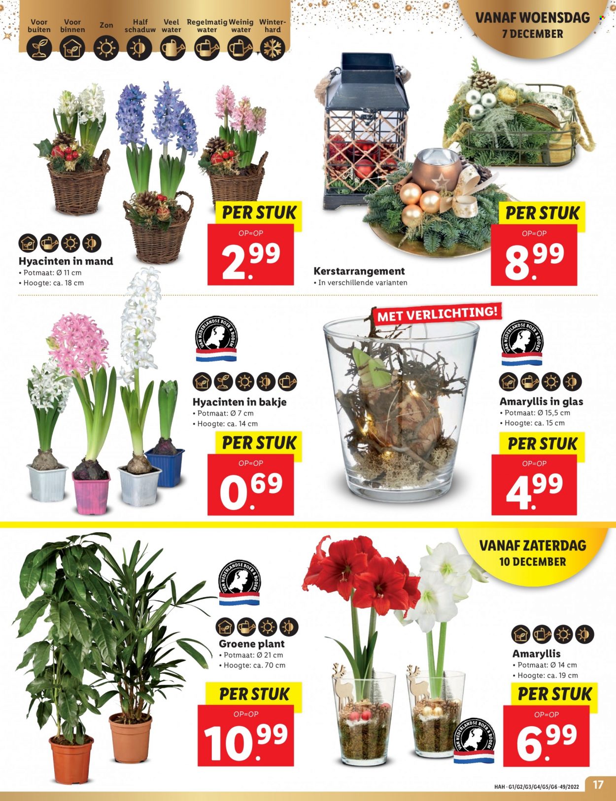 Lidl-aanbieding - 5-12-2022 - 11-12-2022. Pagina 17