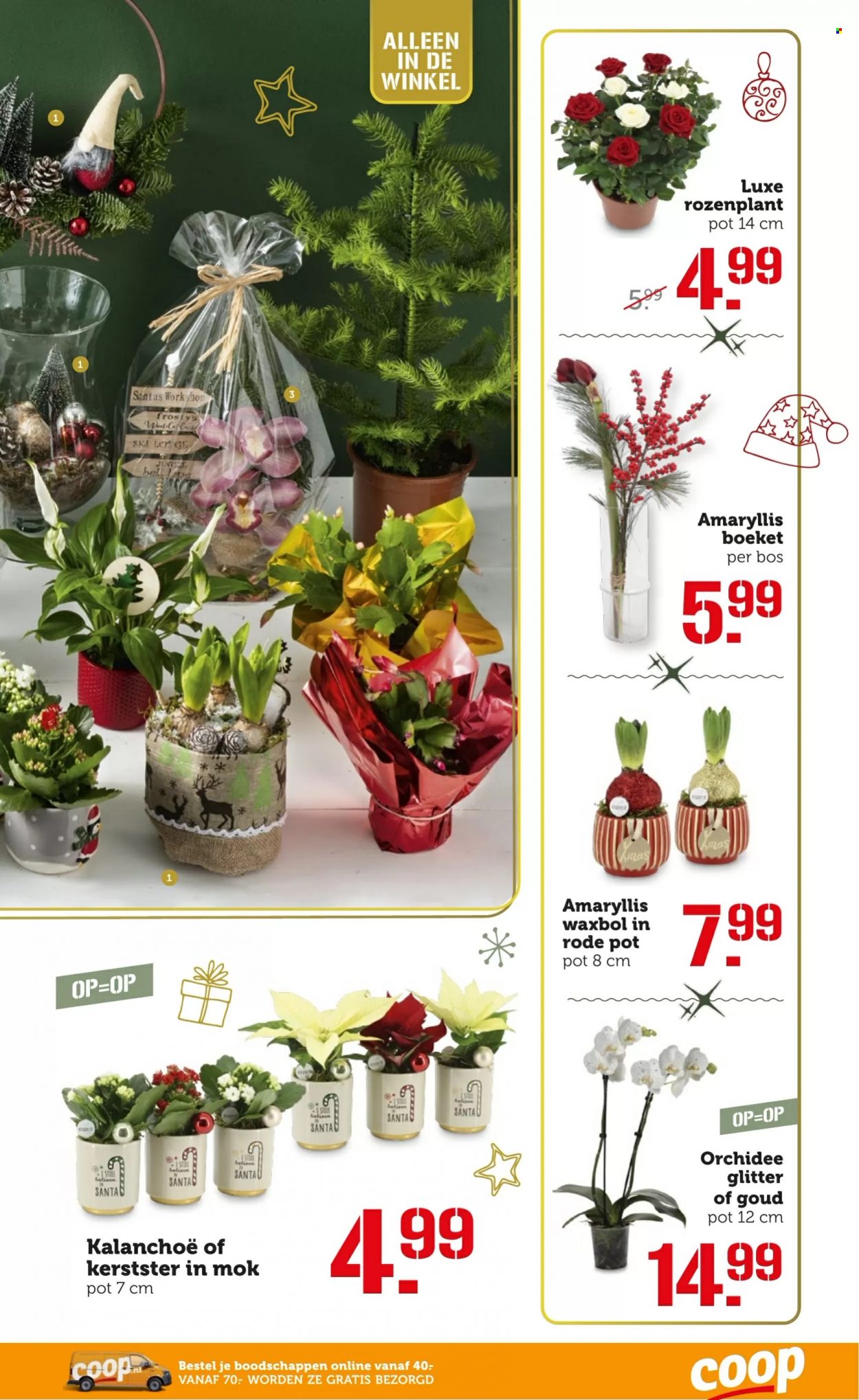 Coop-aanbieding - 5-12-2022 - 11-12-2022. Pagina 25