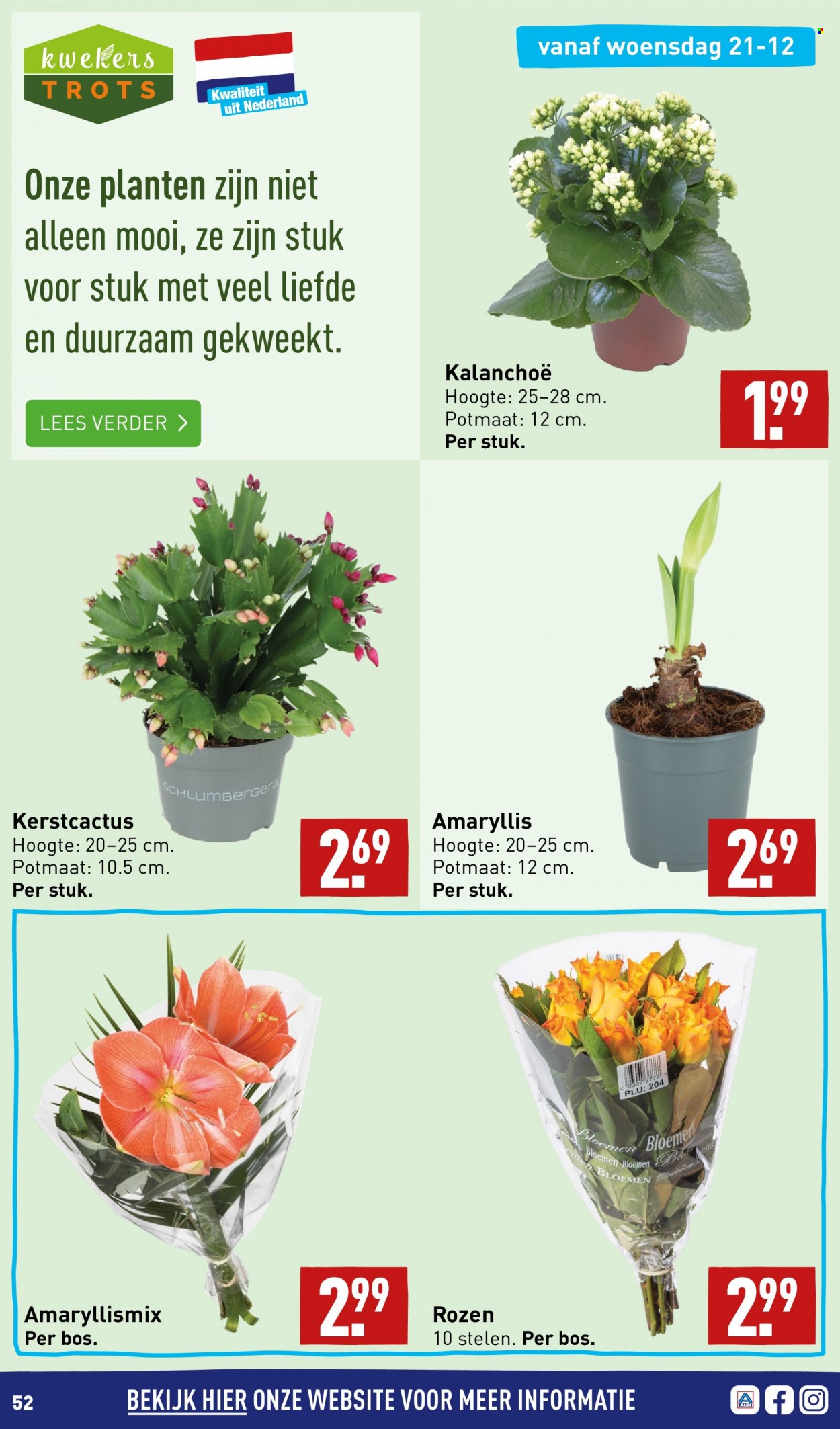 Aldi-aanbieding - 19-12-2022 - 26-12-2022. Pagina 52