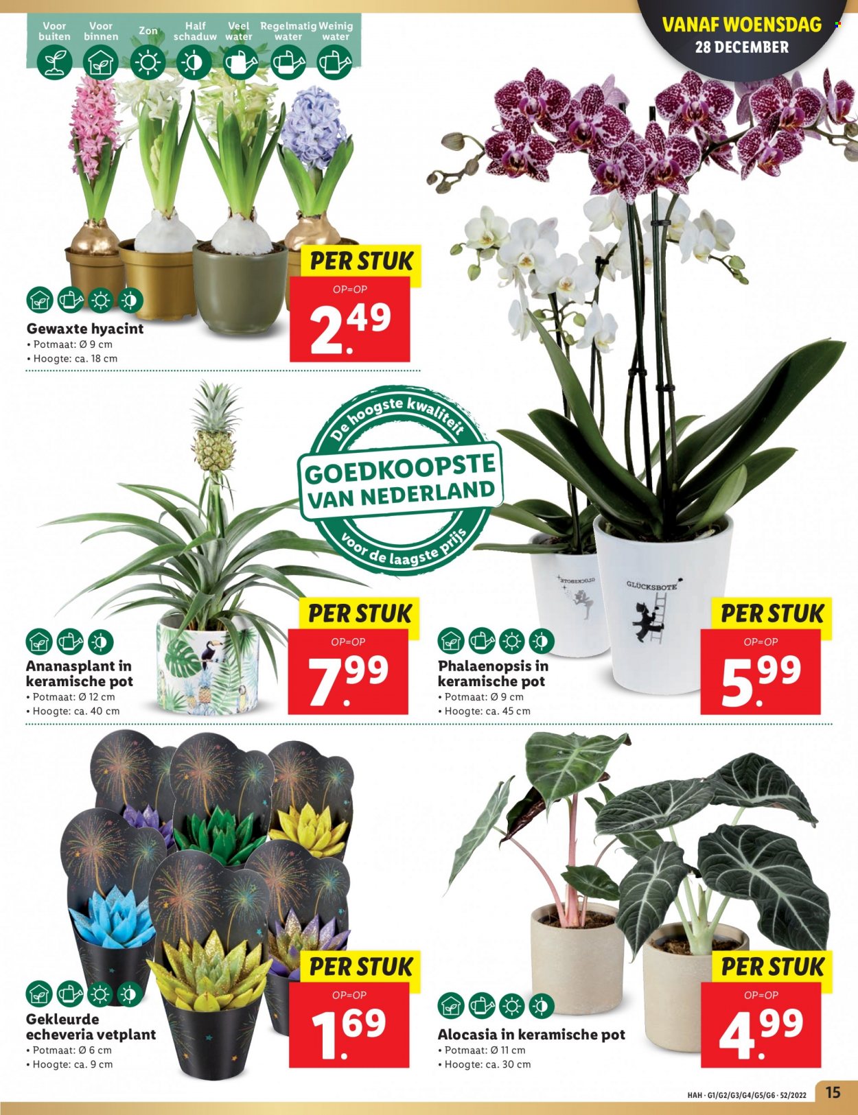 Lidl-aanbieding - 22-12-2022 - 22-12-2022. Pagina 15