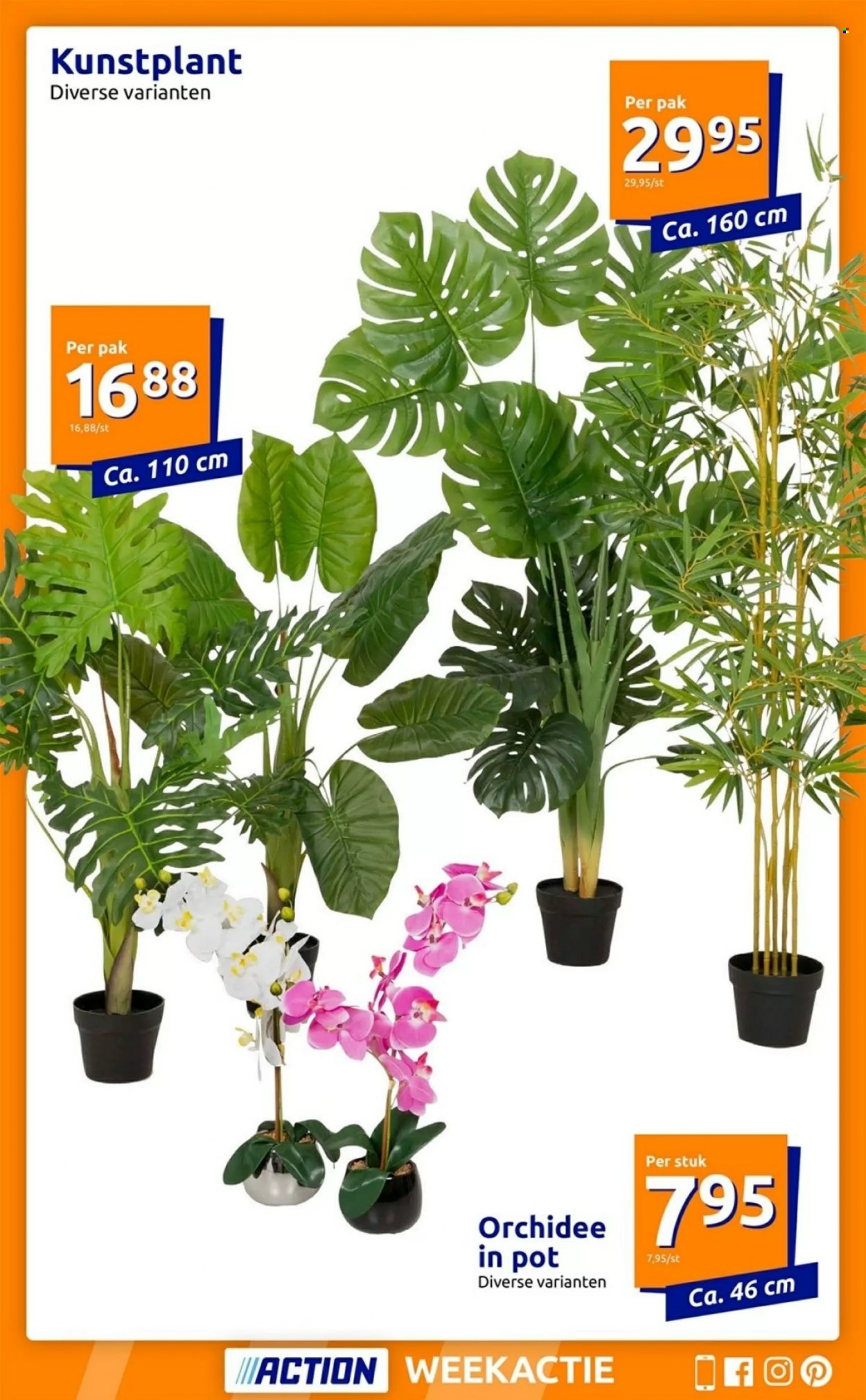 Action-aanbieding - 28-12-2022 - 3-1-2023. Pagina 4