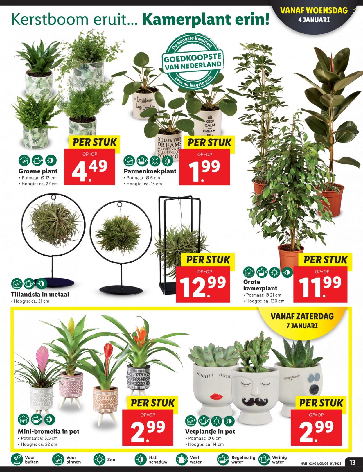 Lidl-aanbieding - 2-1-2023 - 8-1-2023. Pagina 13