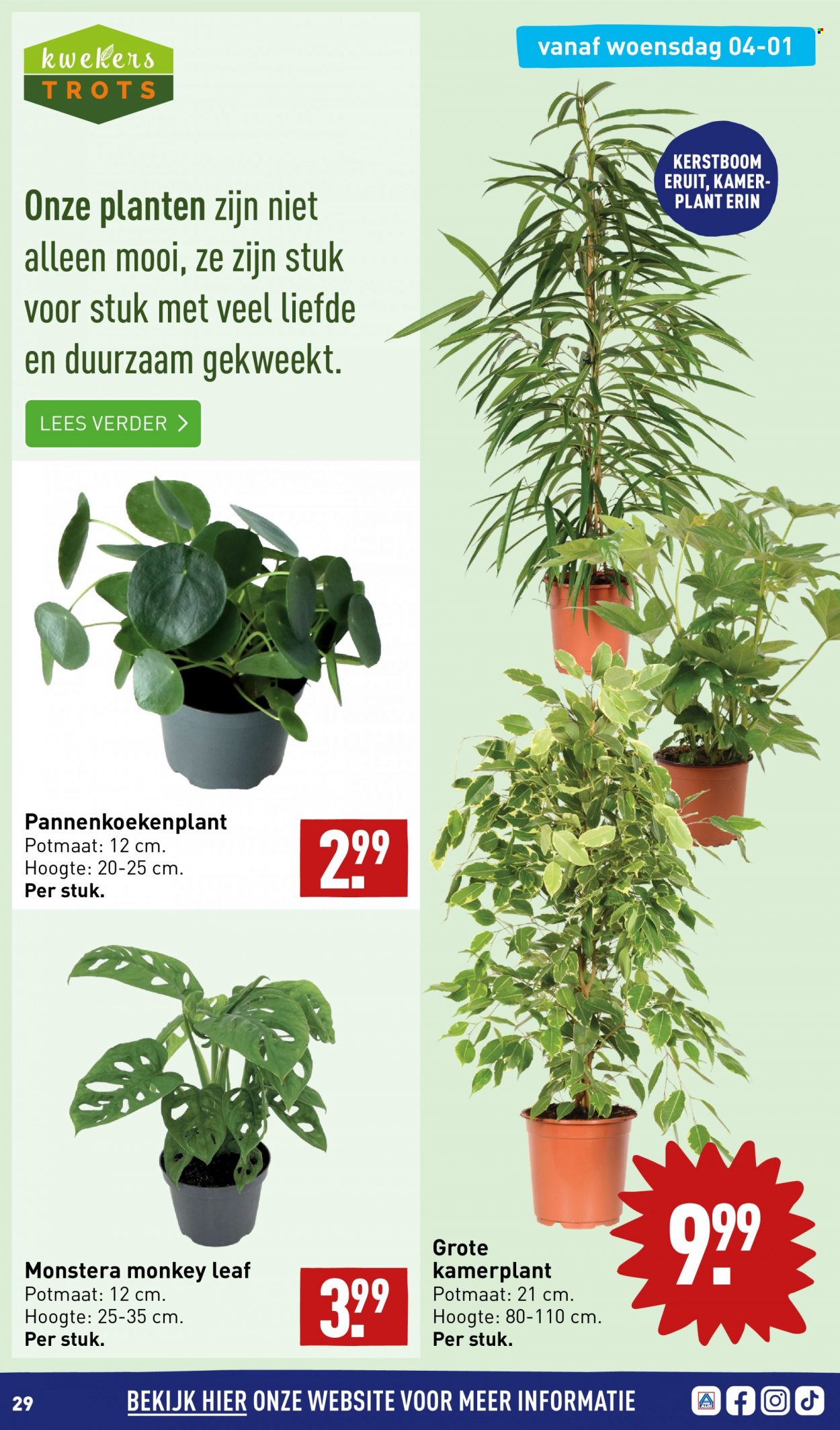 Aldi-aanbieding - 2-1-2023 - 8-1-2023. Pagina 29