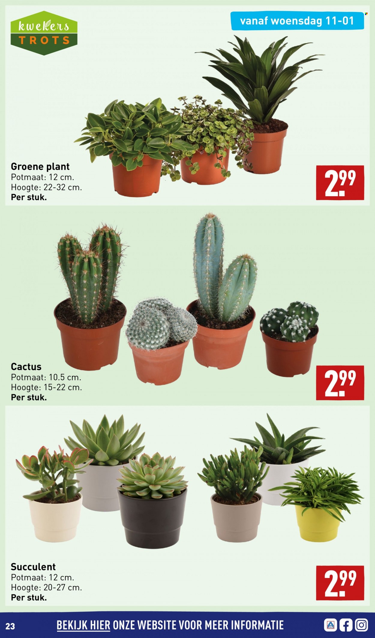 Aldi-aanbieding - 9-1-2023 - 15-1-2023. Pagina 23