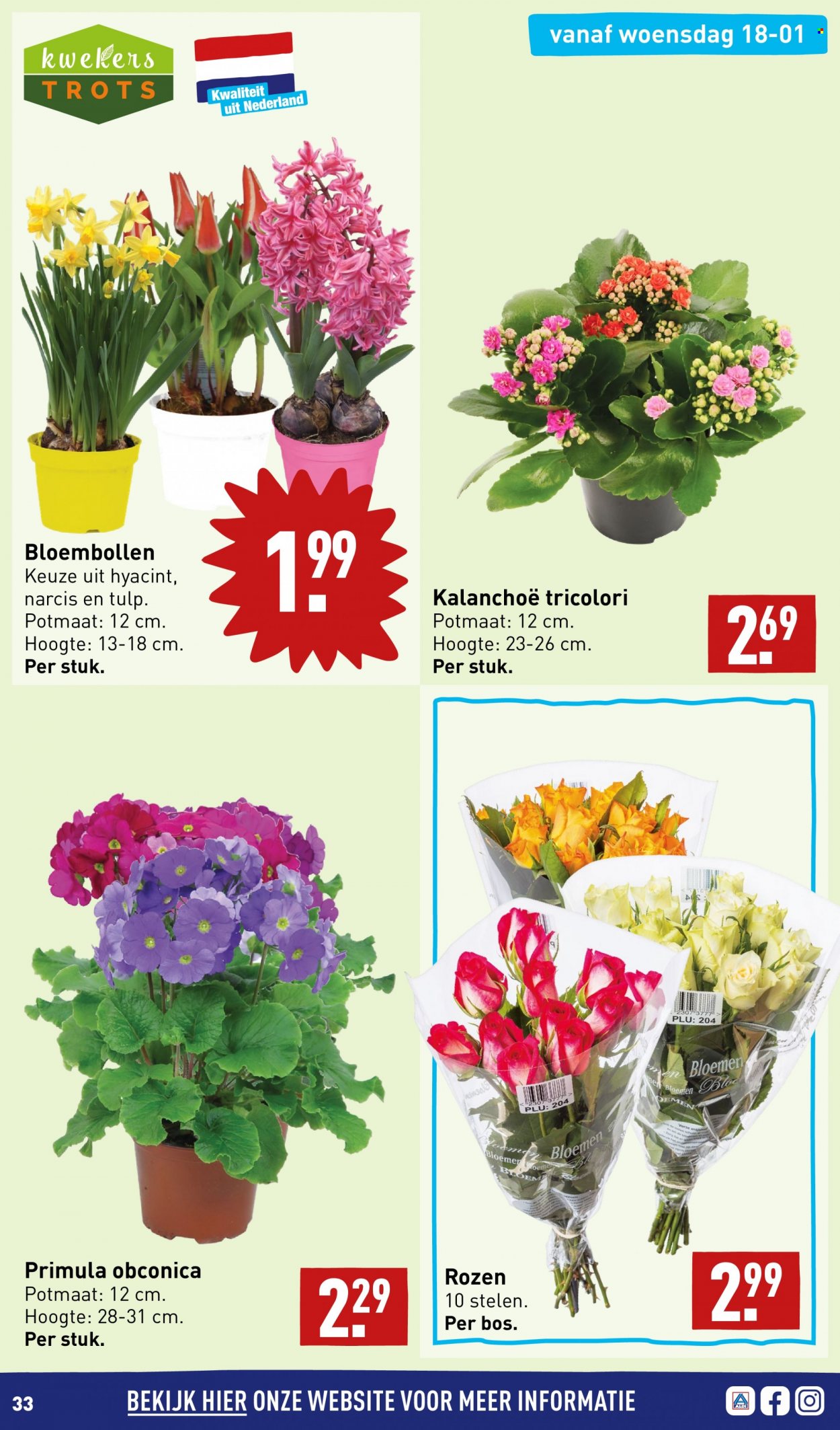 Aldi-aanbieding - 16-1-2023 - 22-1-2023. Pagina 35