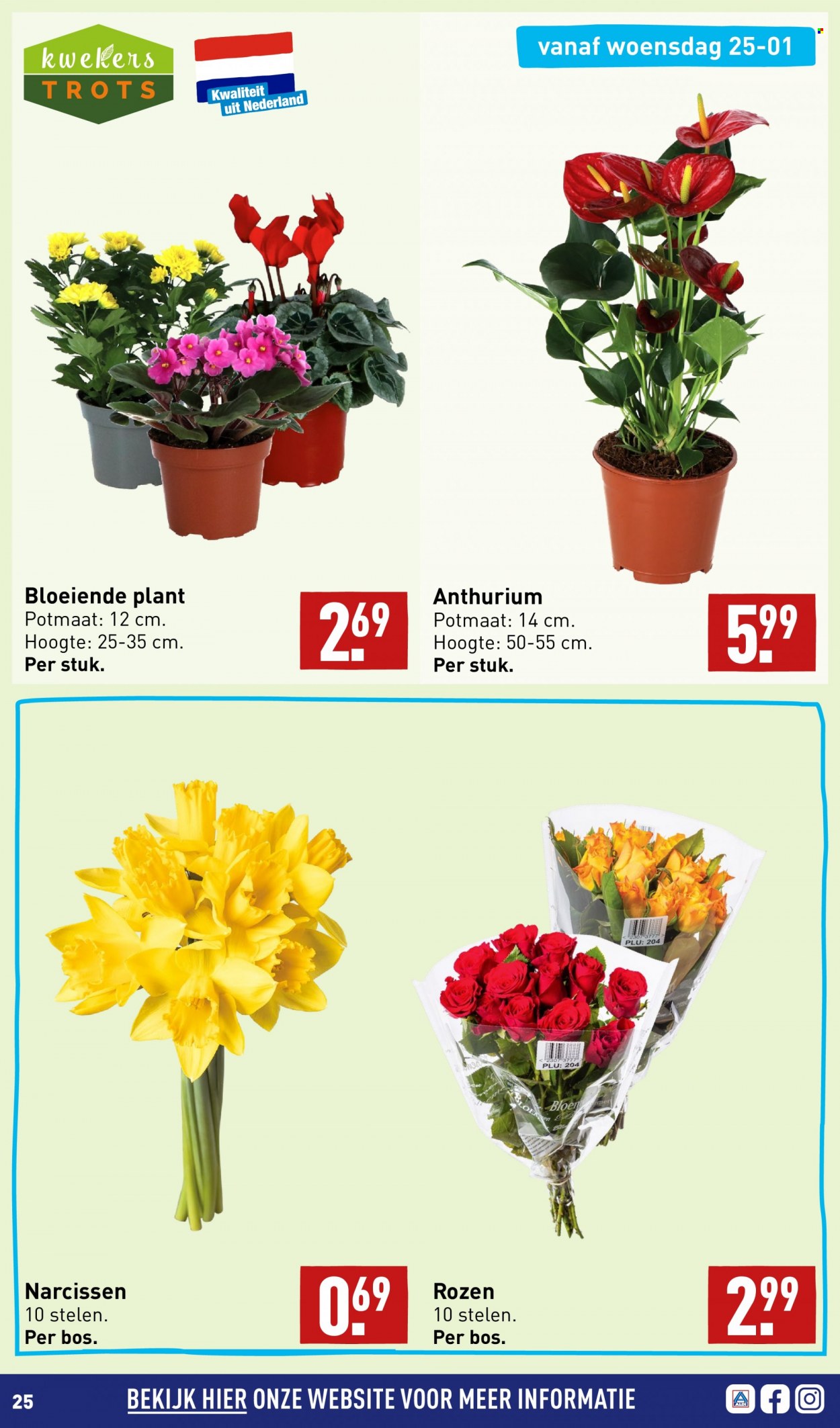 Aldi-aanbieding - 23-1-2023 - 29-1-2023. Pagina 25