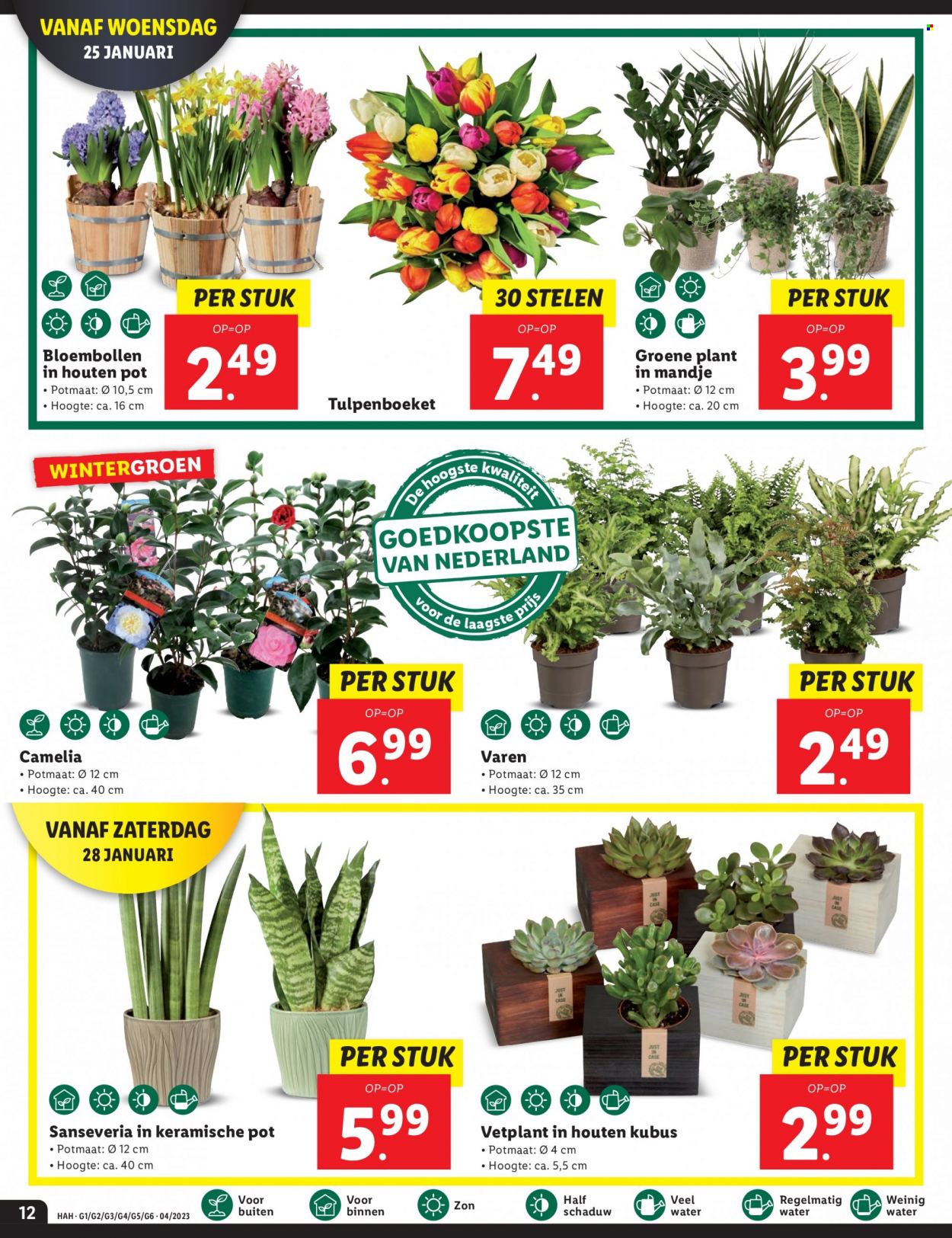 Lidl-aanbieding - 23-1-2023 - 29-1-2023. Pagina 12