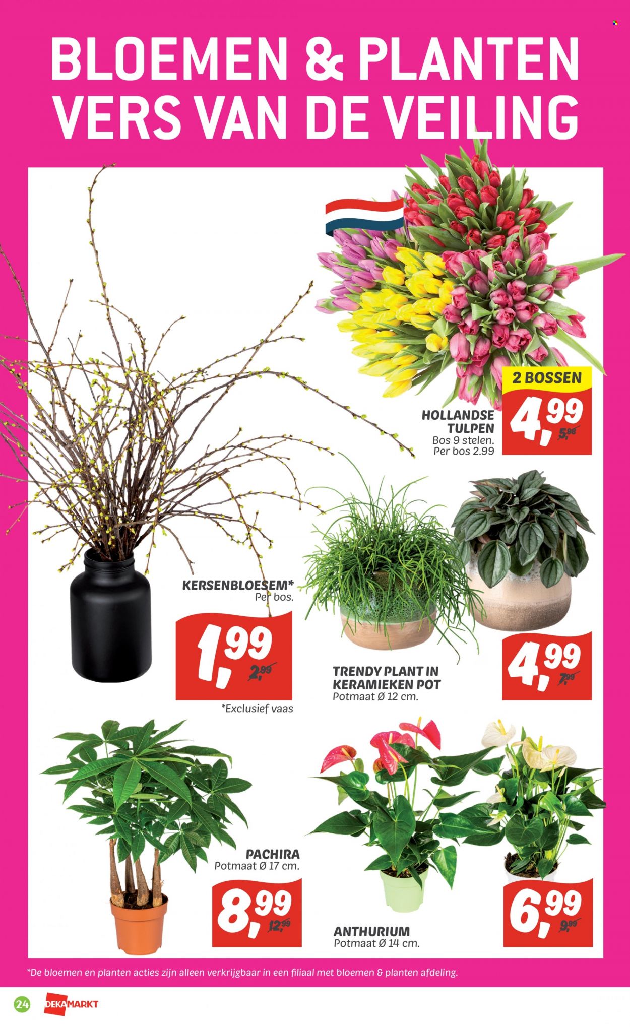 DekaMarkt-aanbieding - 22-1-2023 - 28-1-2023. Pagina 24