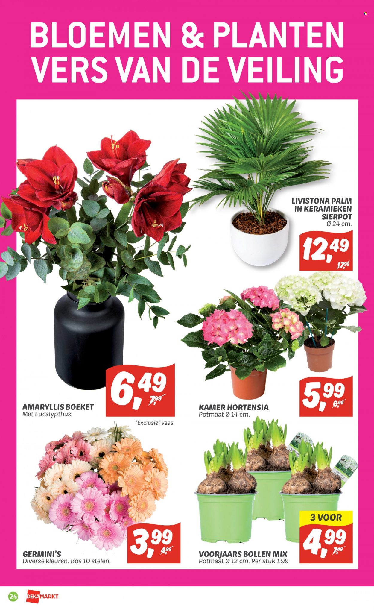 DekaMarkt-aanbieding - 29-1-2023 - 4-2-2023. Pagina 26