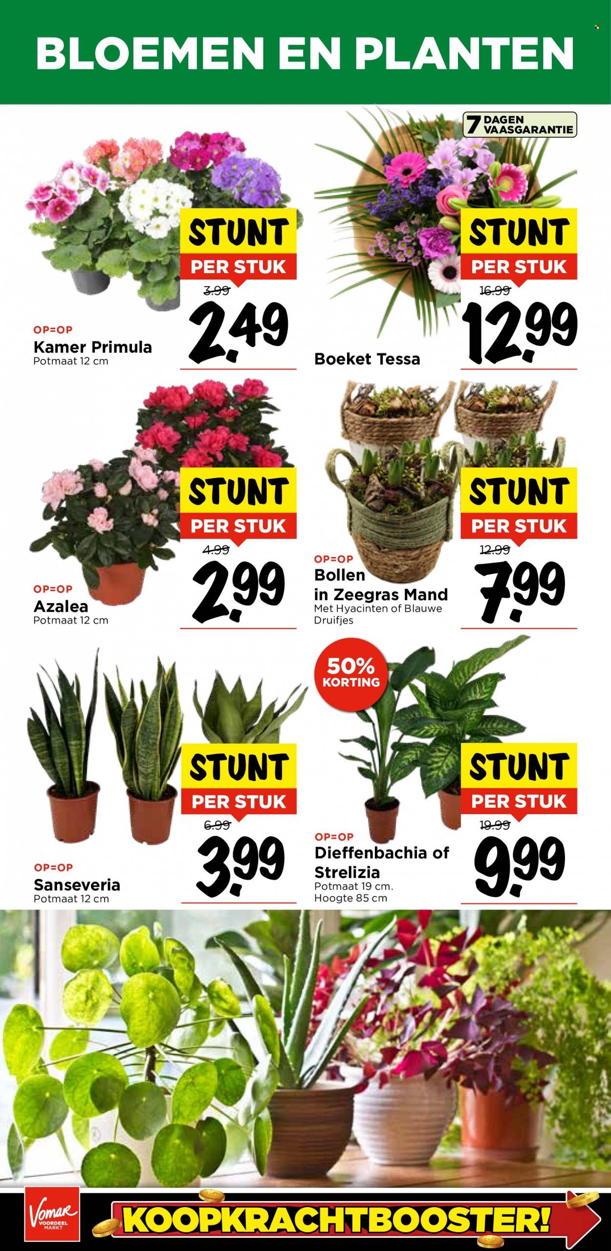 Vomar-aanbieding - 29-1-2023 - 4-2-2023. Pagina 19