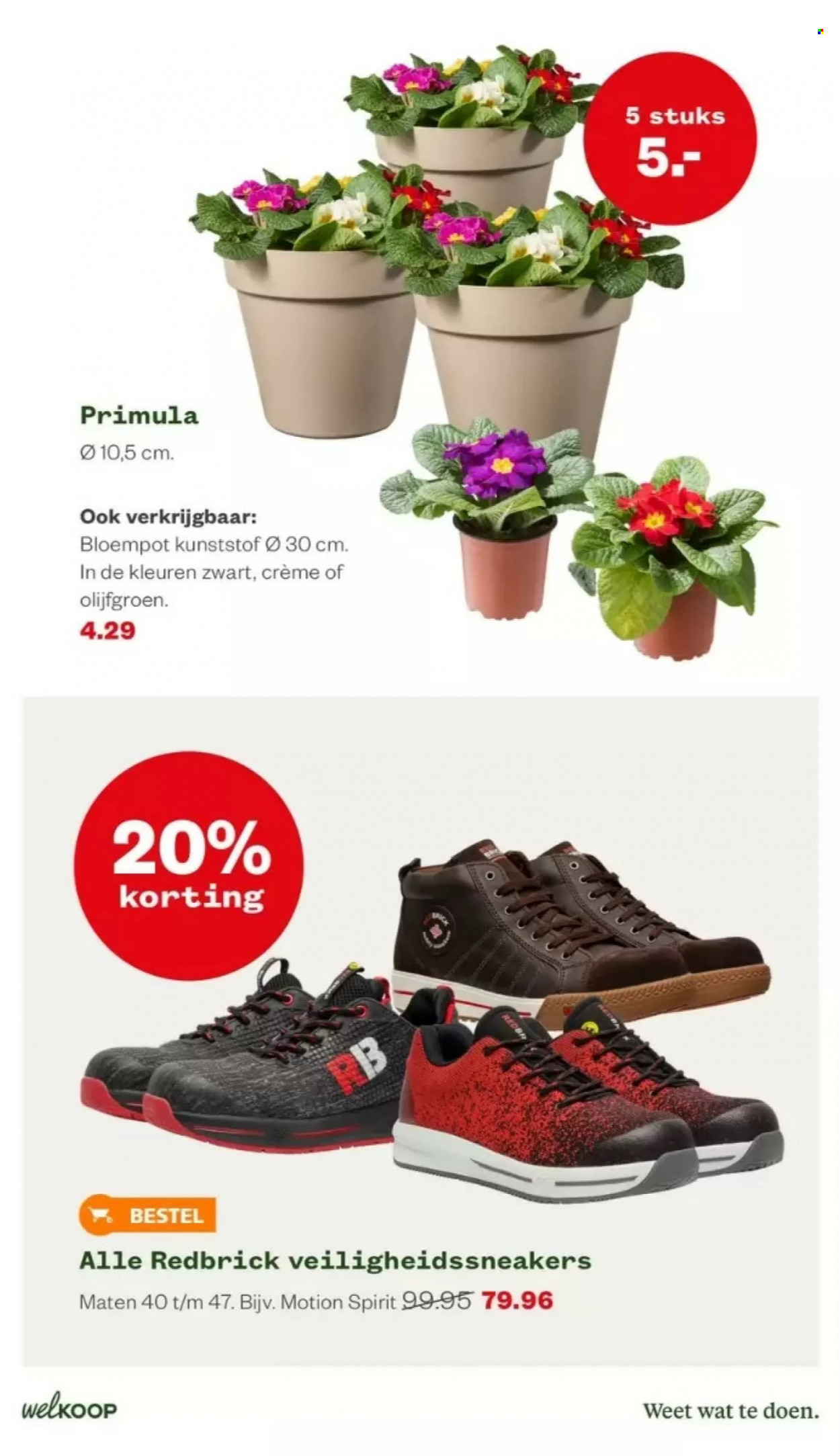 Welkoop-aanbieding - 30-1-2023 - 5-2-2023. Pagina 15