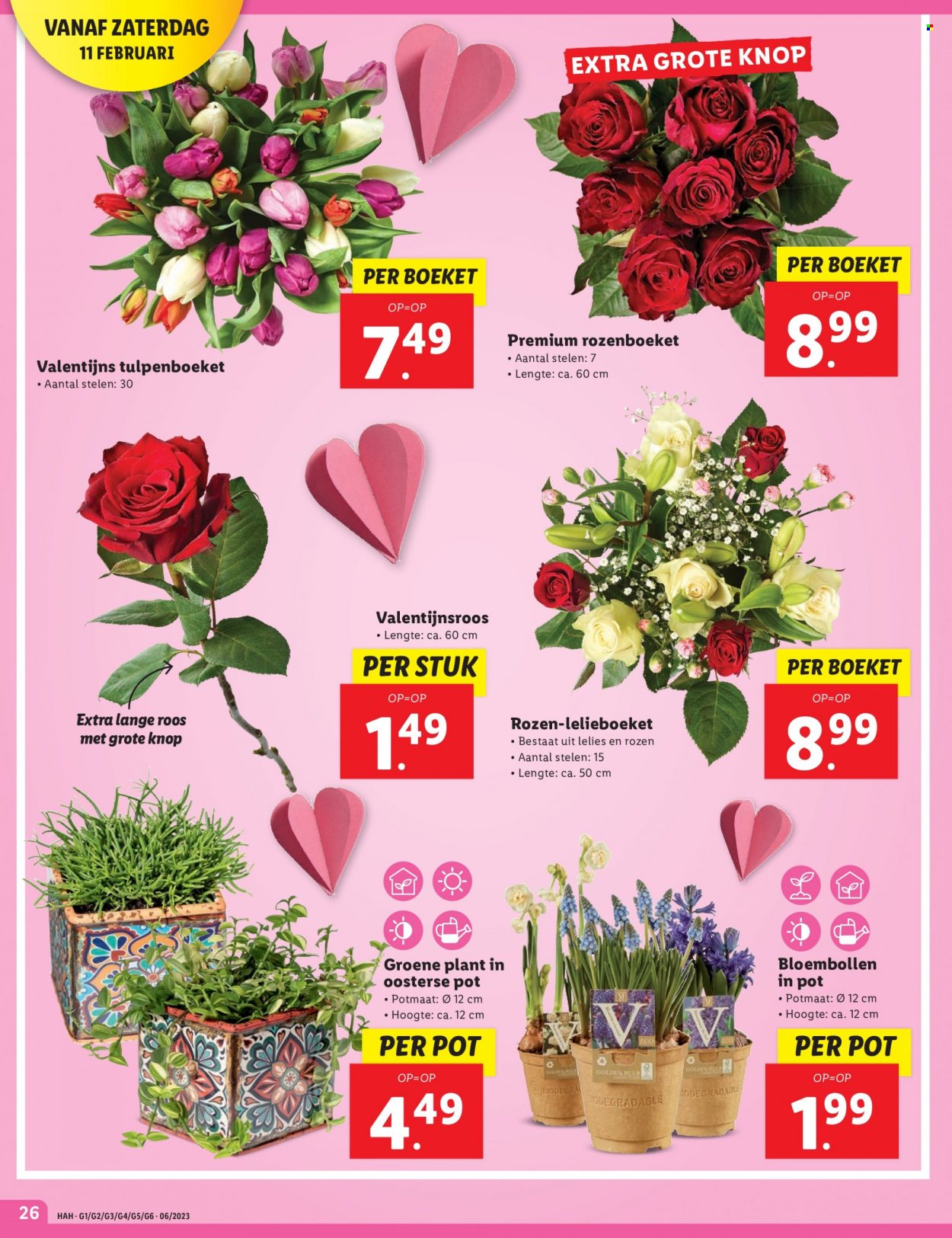Lidl-aanbieding - 6-2-2023 - 12-2-2023. Pagina 26