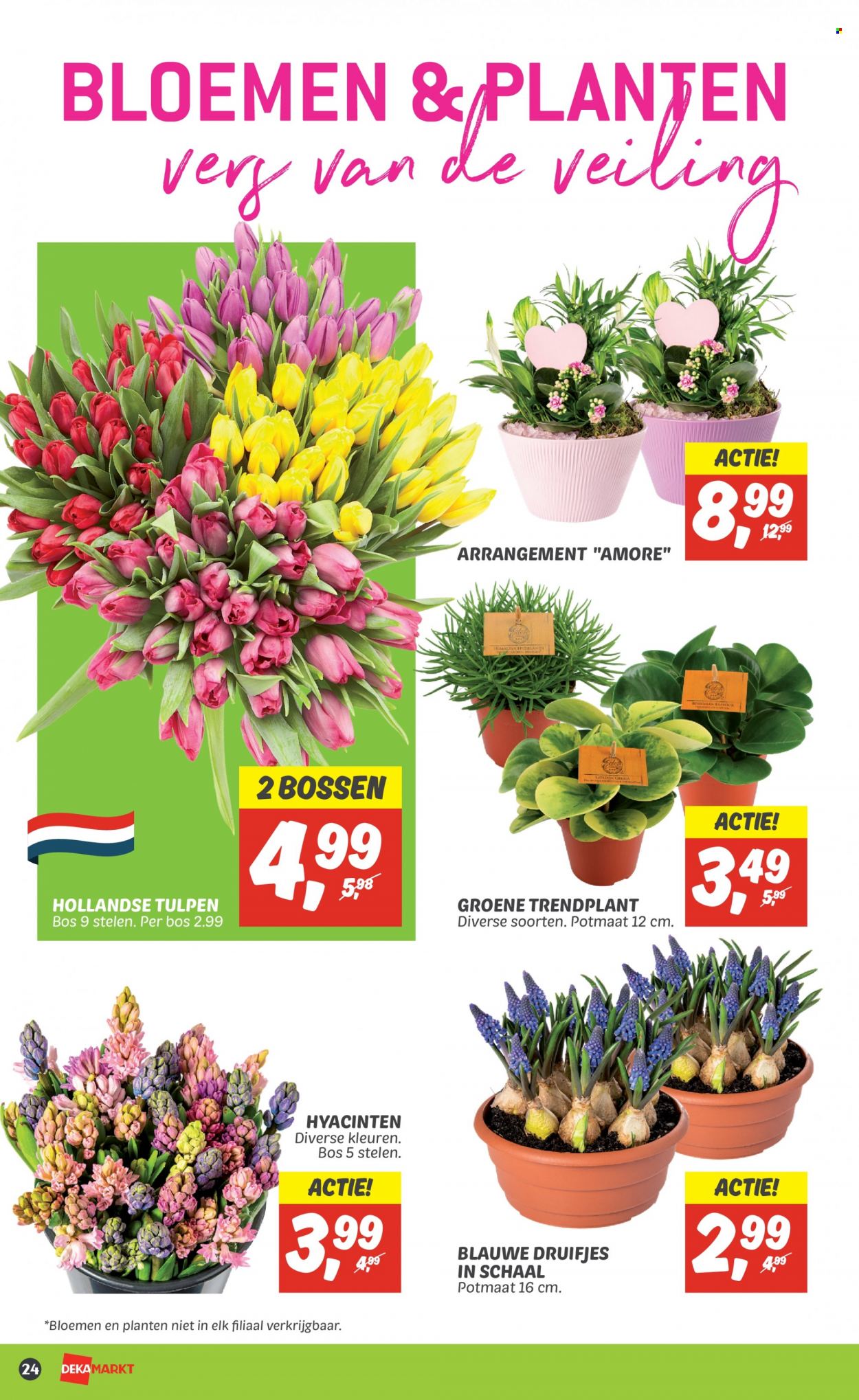 DekaMarkt-aanbieding - 5-2-2023 - 11-2-2023. Pagina 26