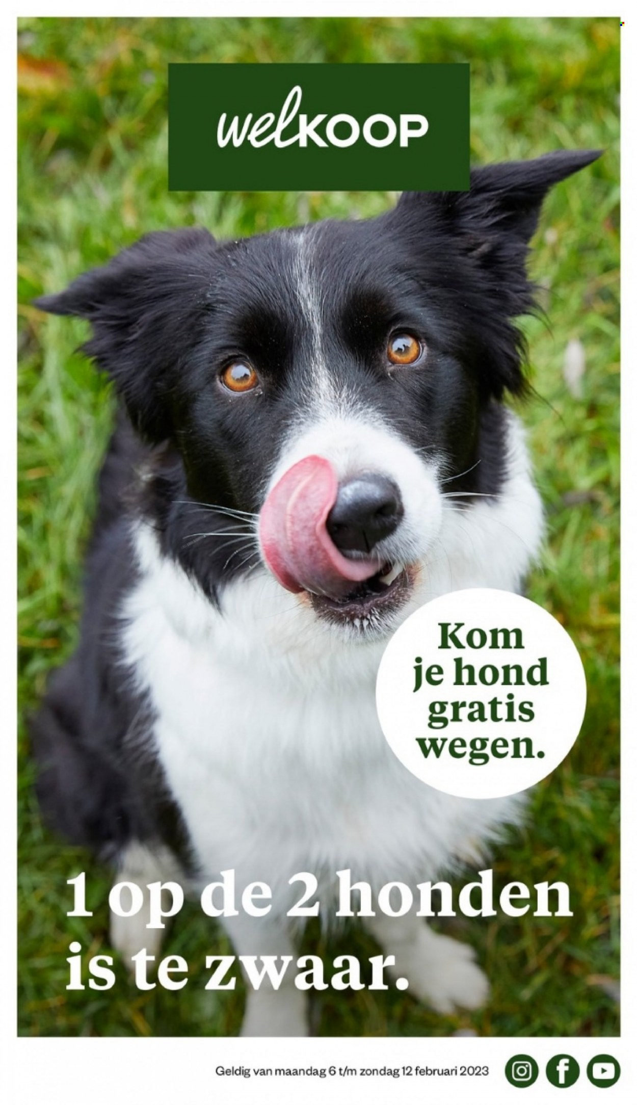 Welkoop-aanbieding - 6-2-2023 - 12-2-2023. Pagina 1