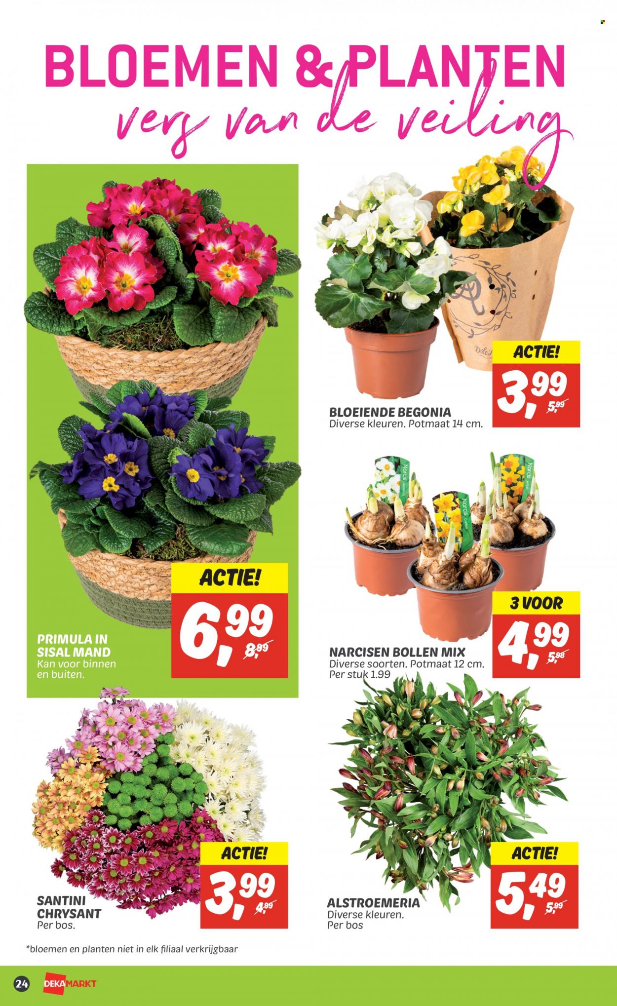 DekaMarkt-aanbieding - 12-2-2023 - 18-2-2023. Pagina 26