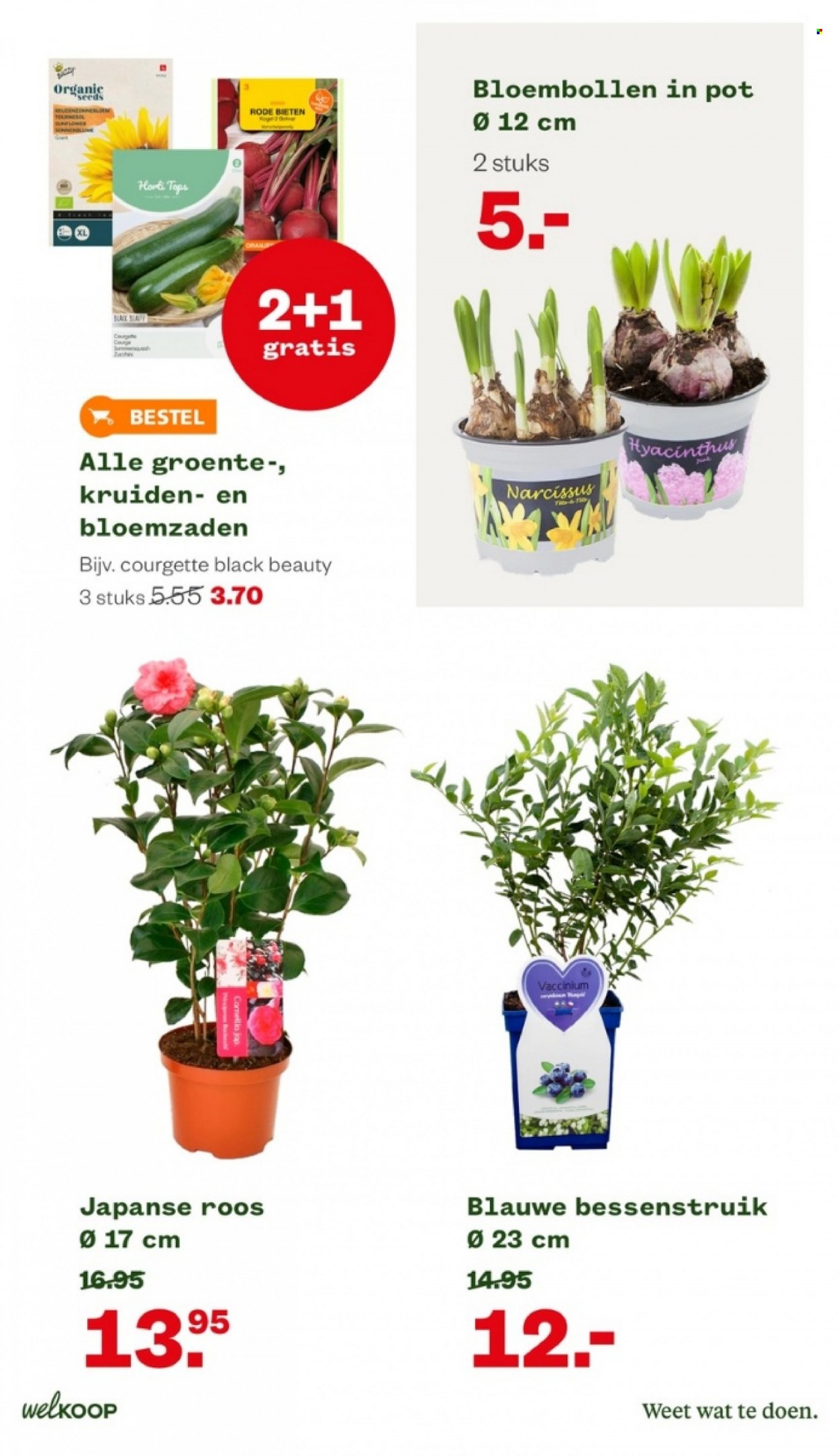 Welkoop-aanbieding - 13-2-2023 - 19-2-2023. Pagina 15