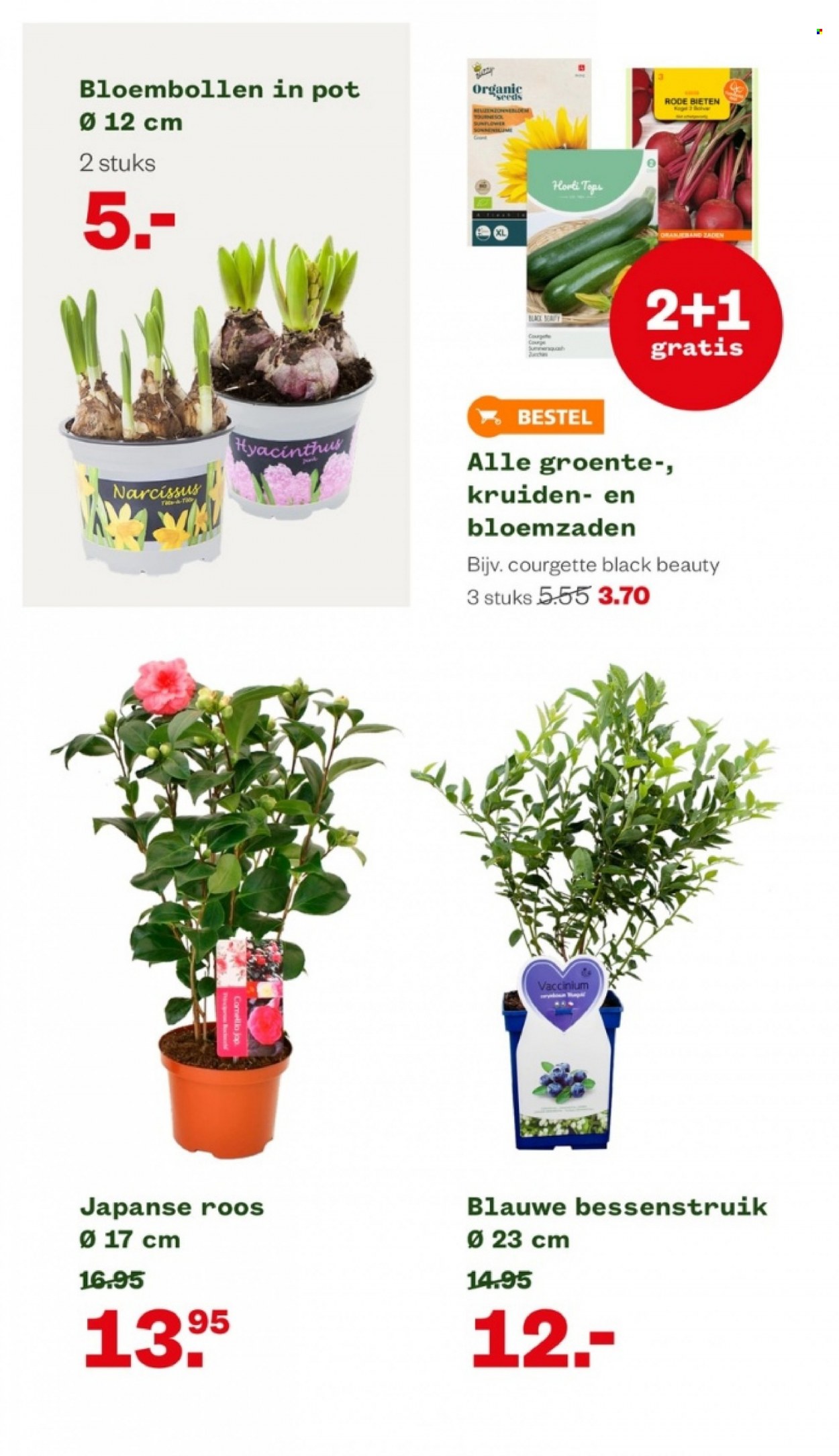 Welkoop-aanbieding - 20-2-2023 - 26-2-2023. Pagina 16