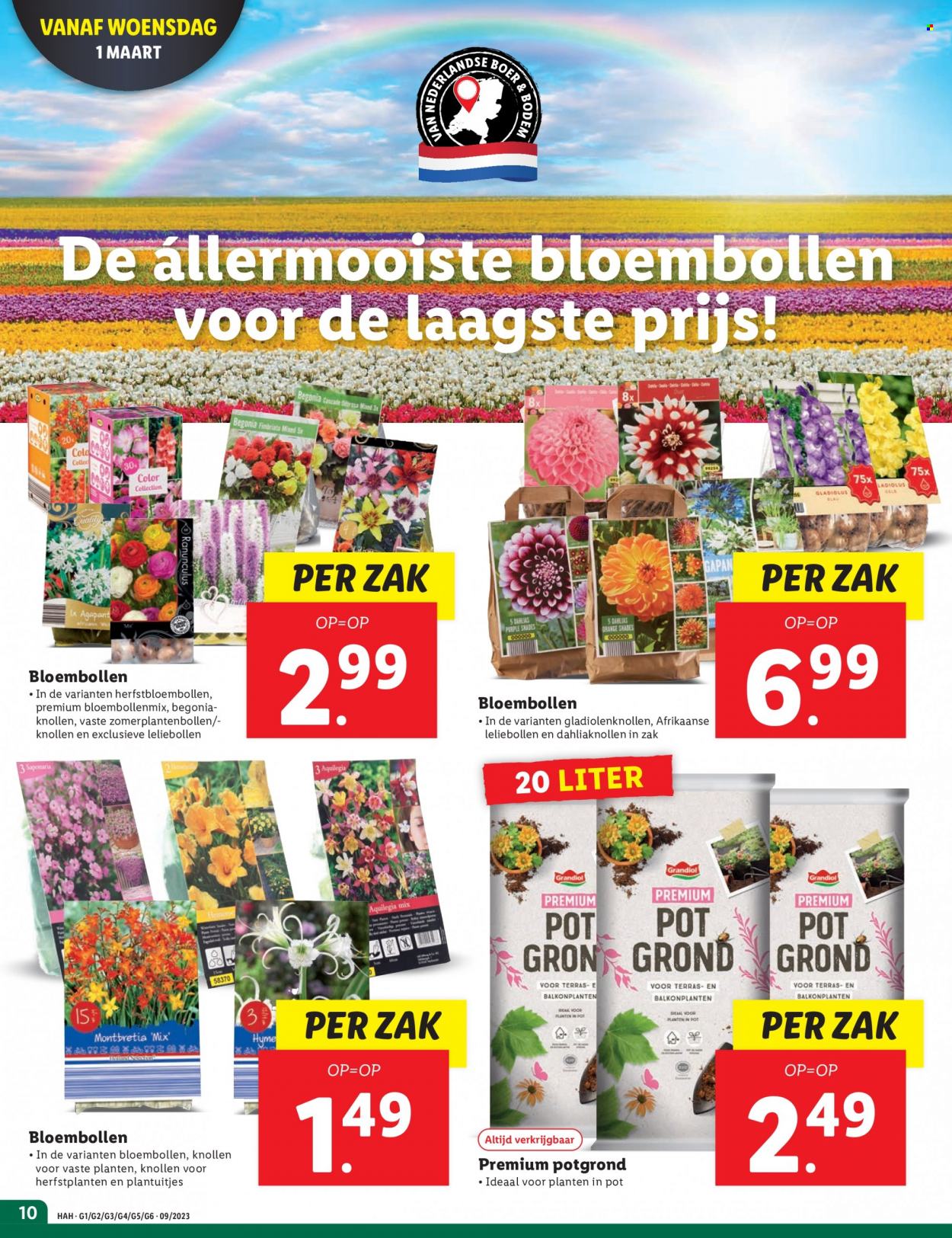 Lidl-aanbieding - 27-2-2023 - 5-3-2023. Pagina 10