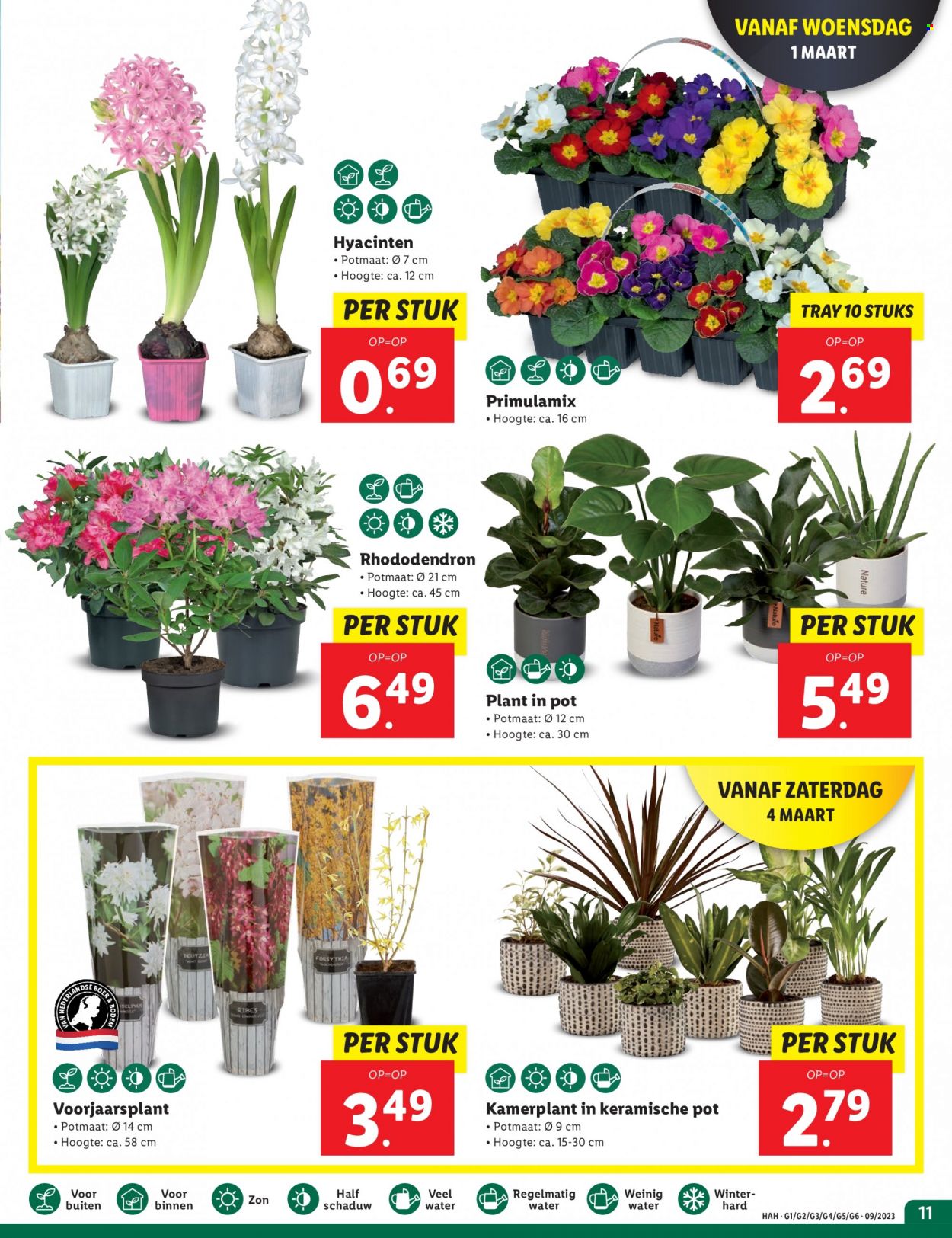 Lidl-aanbieding - 27-2-2023 - 5-3-2023. Pagina 11