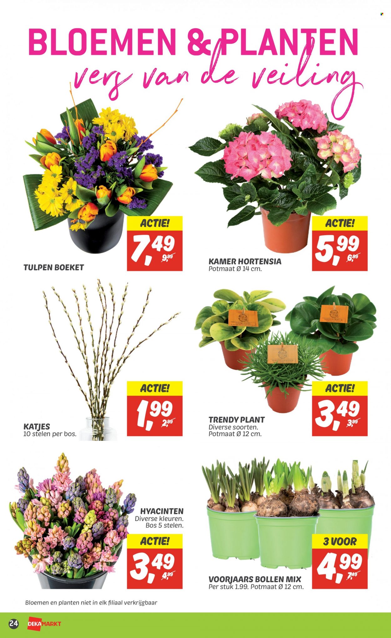 DekaMarkt-aanbieding - 26-2-2023 - 4-3-2023. Pagina 26