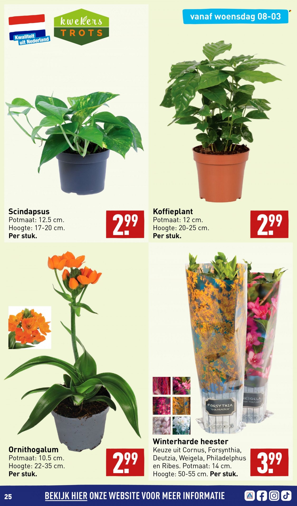 Aldi-aanbieding - 6-3-2023 - 12-3-2023. Pagina 25