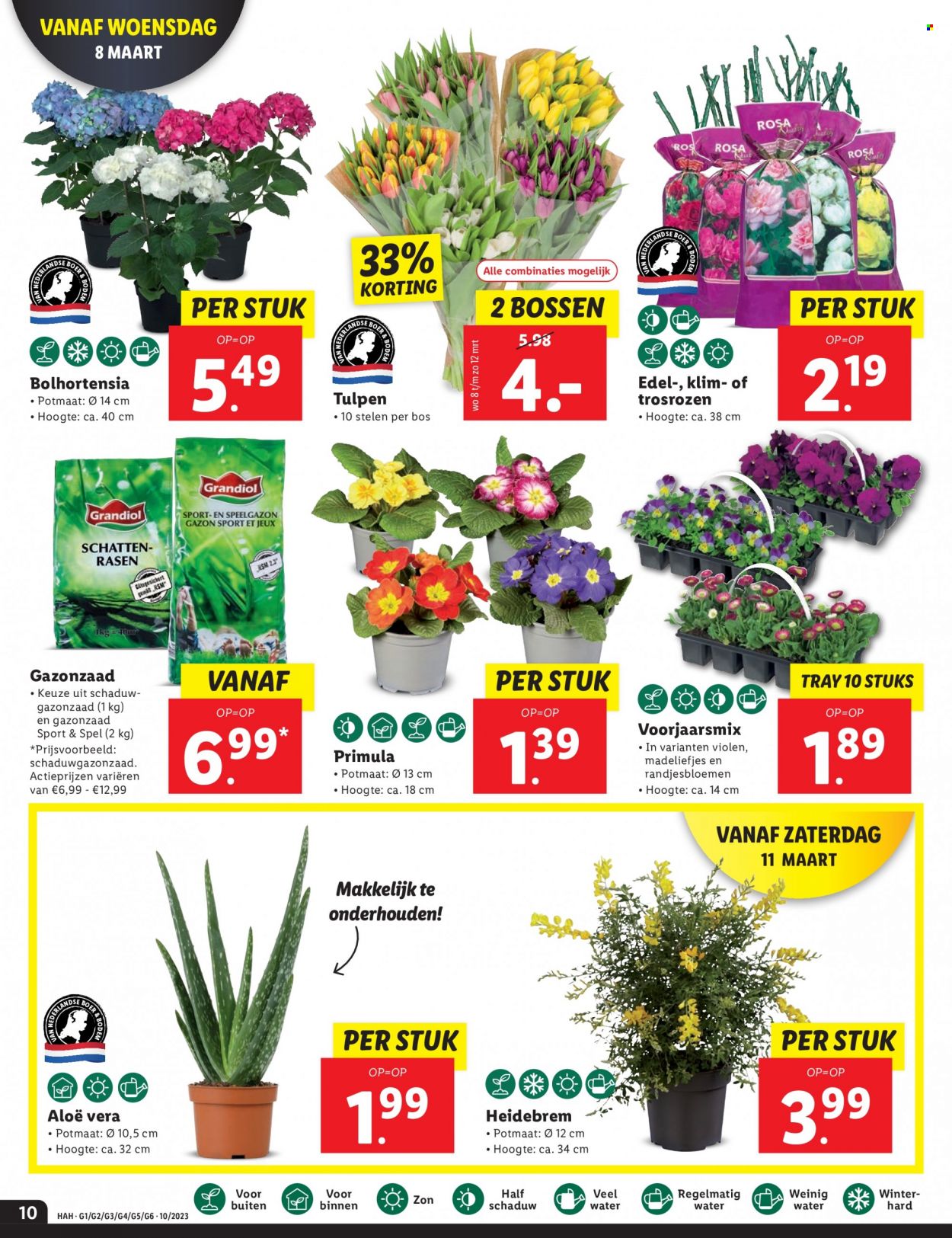 Lidl-aanbieding - 6-3-2023 - 12-3-2023. Pagina 10