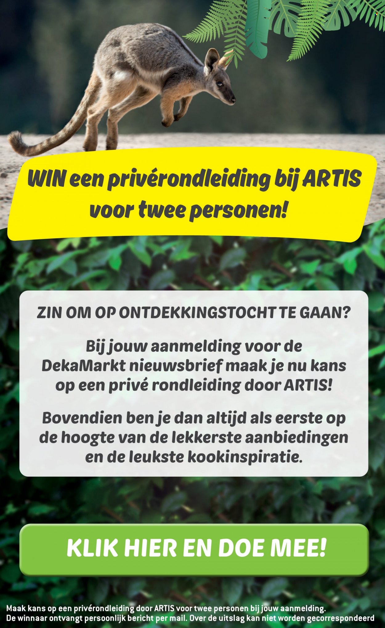 DekaMarkt-aanbieding - 5-3-2023 - 11-3-2023. Pagina 2