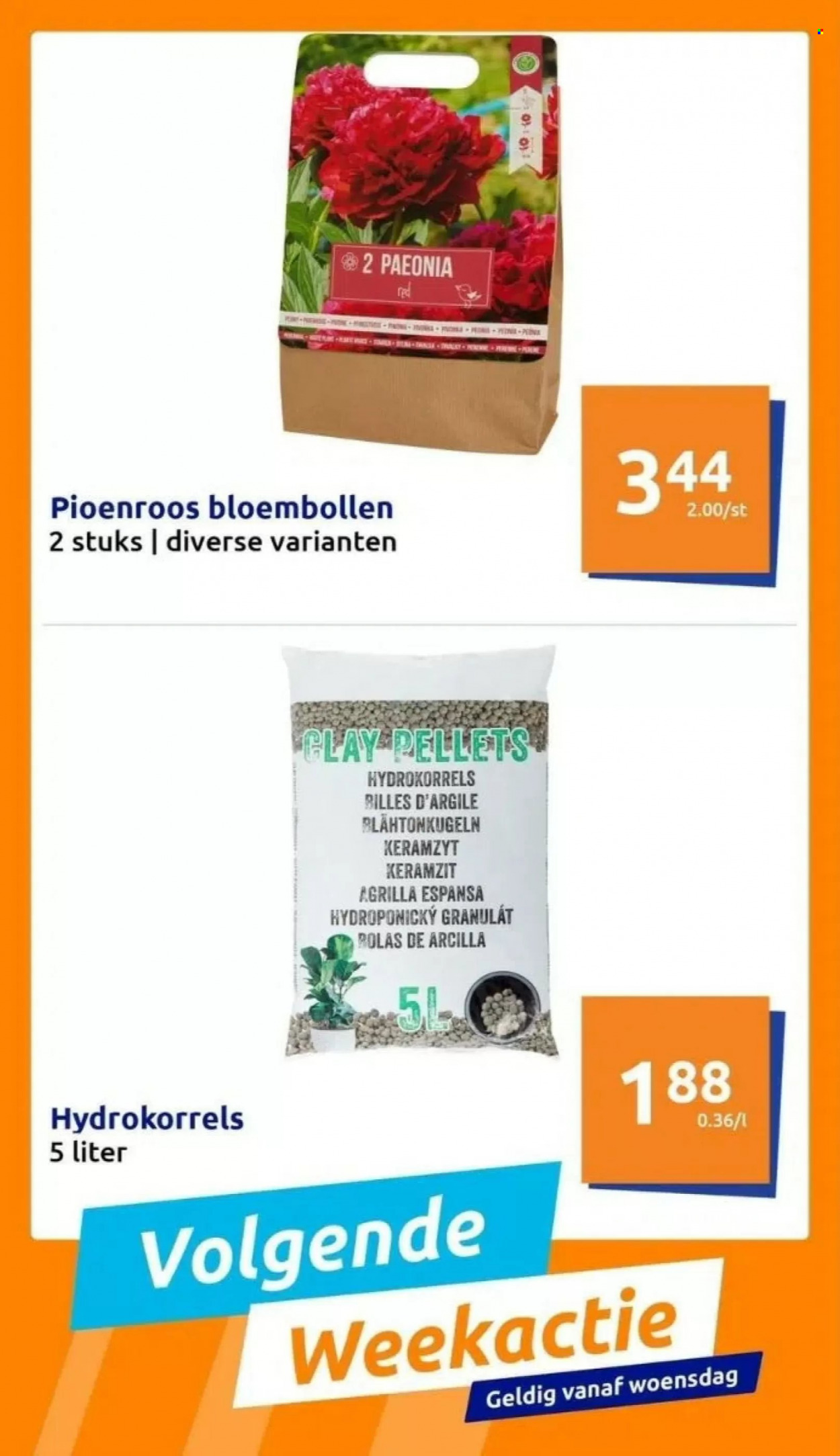Action-aanbieding. Pagina 13