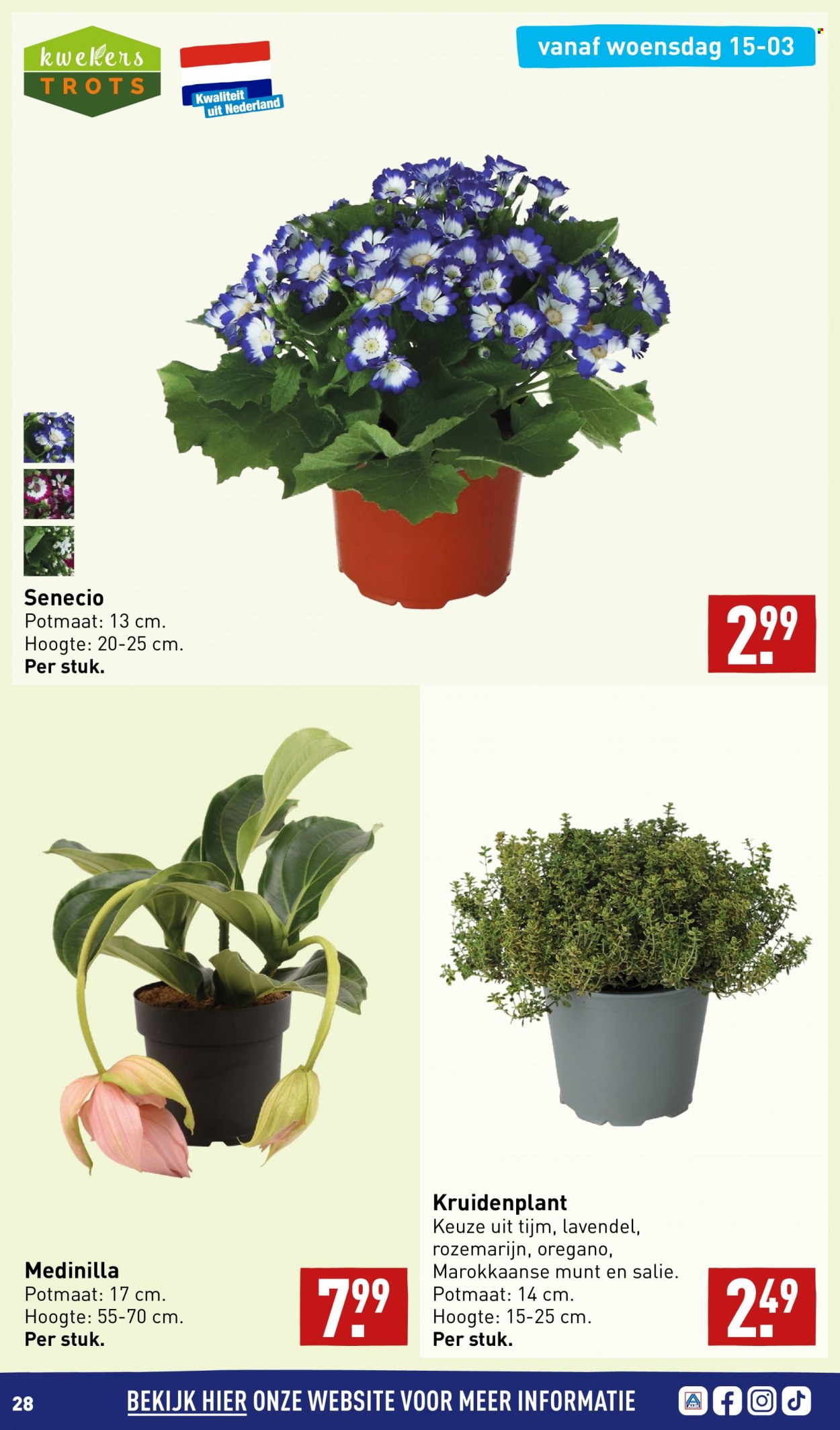 Aldi-aanbieding - 13-3-2023 - 19-3-2023. Pagina 28