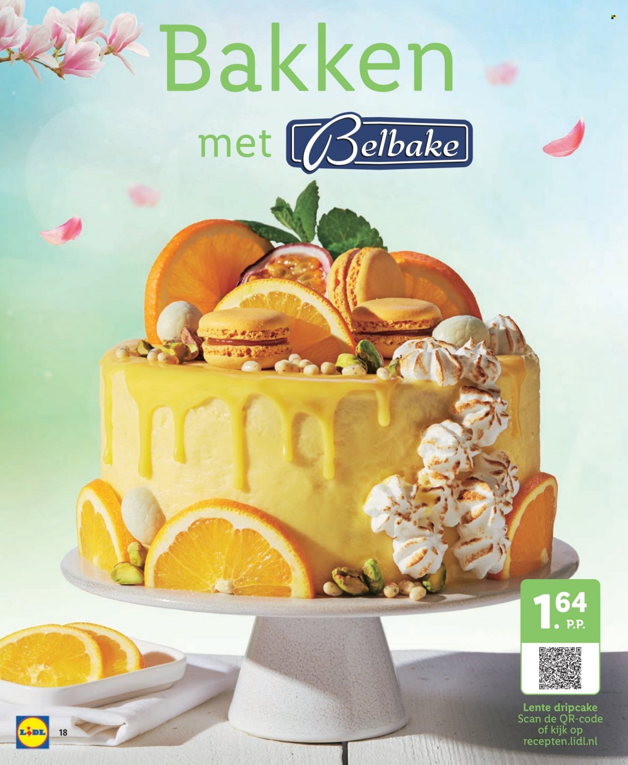Lidl-aanbieding. Pagina 18