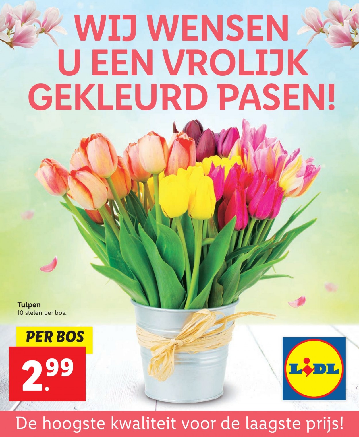 Lidl-aanbieding. Pagina 72