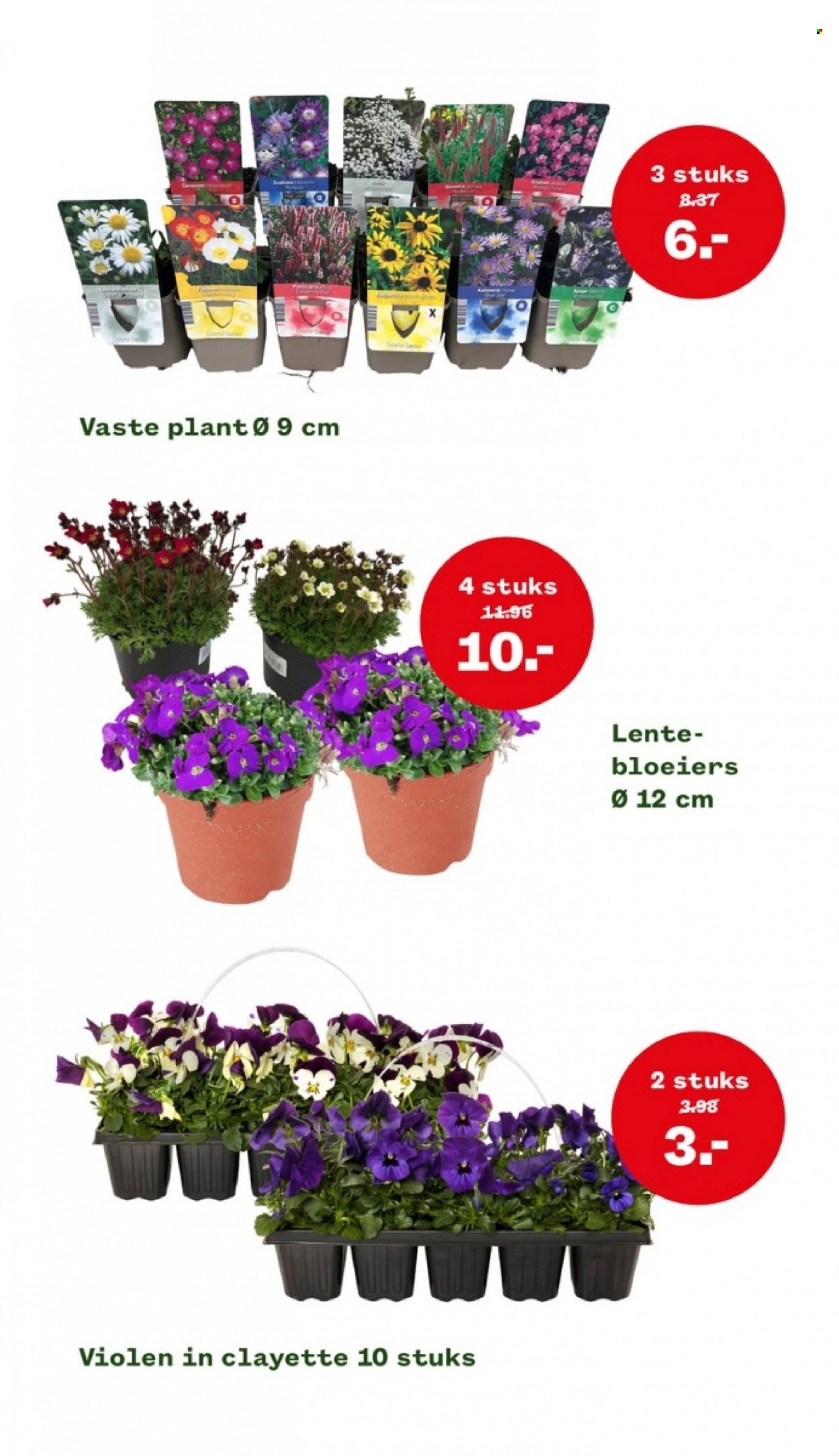 Welkoop-aanbieding - 13-3-2023 - 19-3-2023. Pagina 6