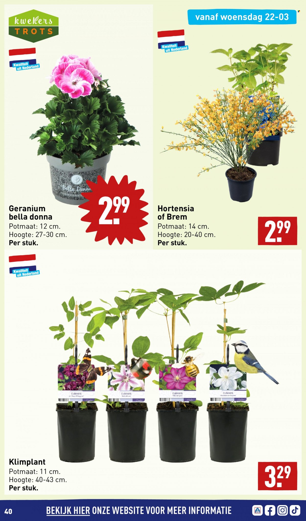 Aldi-aanbieding - 20-3-2023 - 26-3-2023. Pagina 39
