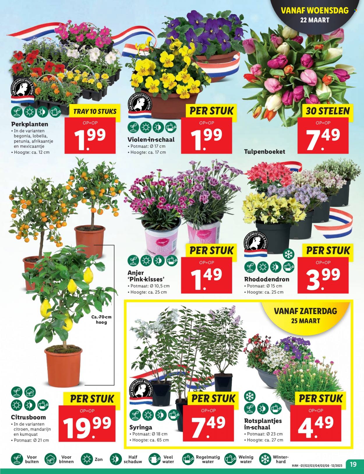 Lidl-aanbieding - 20-3-2023 - 26-3-2023. Pagina 19