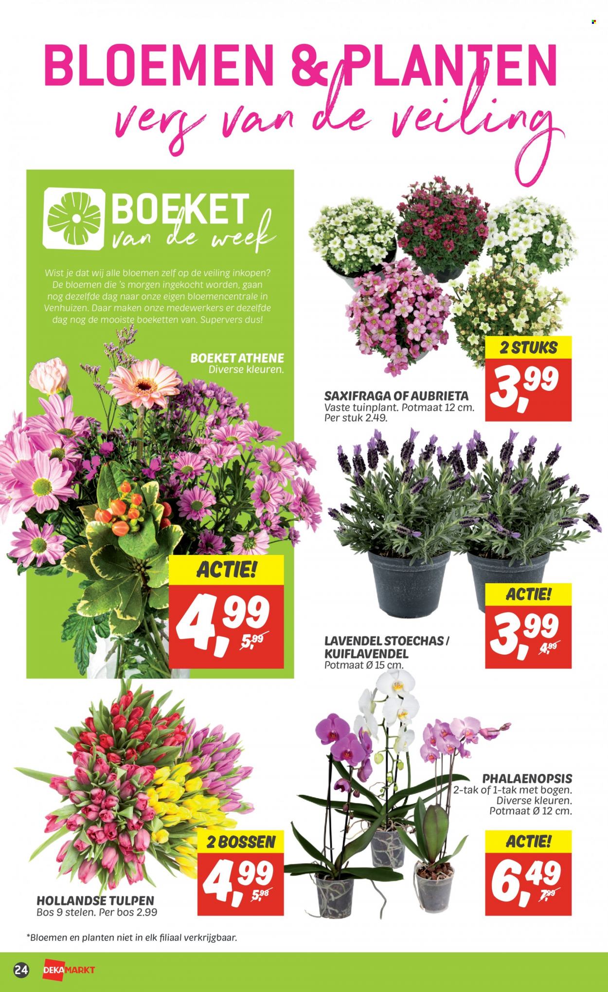 DekaMarkt-aanbieding - 19-3-2023 - 25-3-2023. Pagina 28