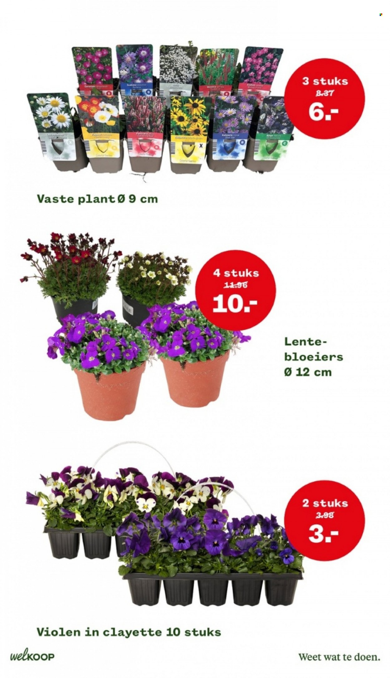 Welkoop-aanbieding - 20-3-2023 - 26-3-2023. Pagina 5