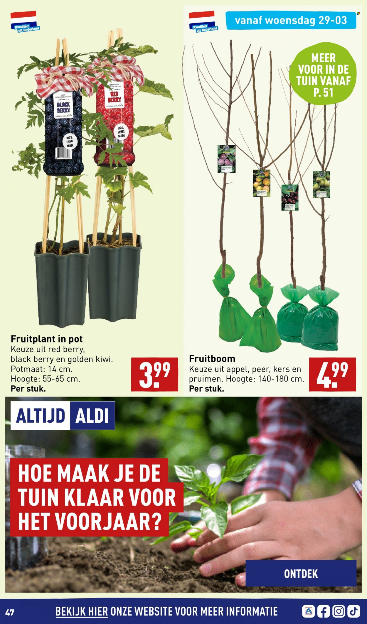 Aldi-aanbieding - 27-3-2023 - 2-4-2023. Pagina 47