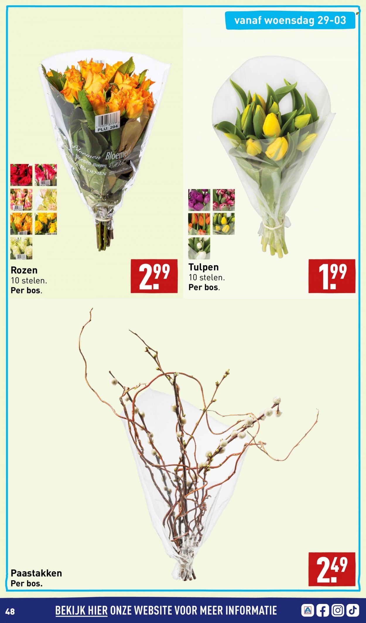 thumbnail - Aldi-aanbieding - 27-3-2023 - 2-4-2023 -  producten in de aanbieding - bloemen. Pagina 48.