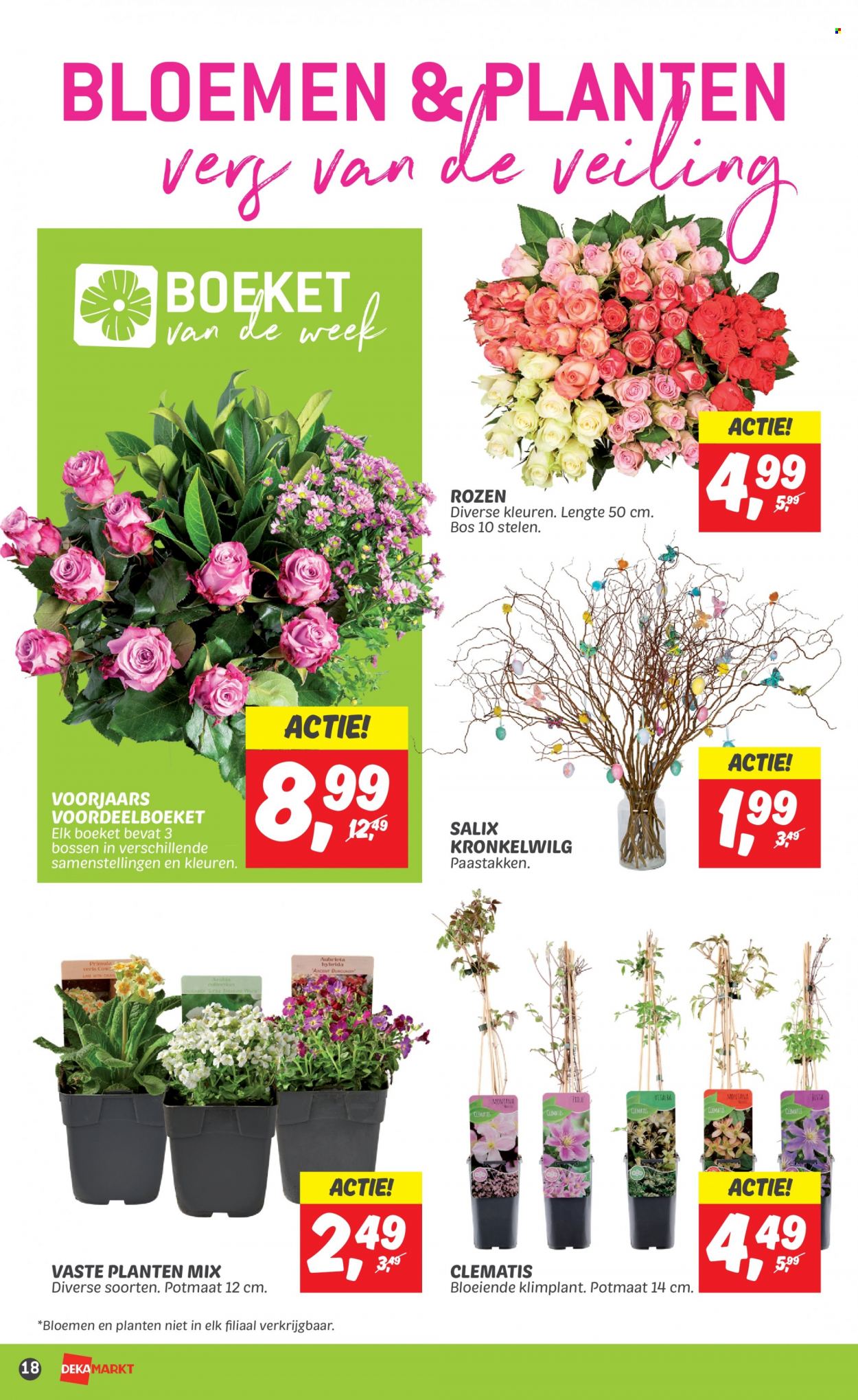 thumbnail - DekaMarkt-aanbieding - 26-3-2023 - 1-4-2023 -  producten in de aanbieding - bloemen, planten. Pagina 20.