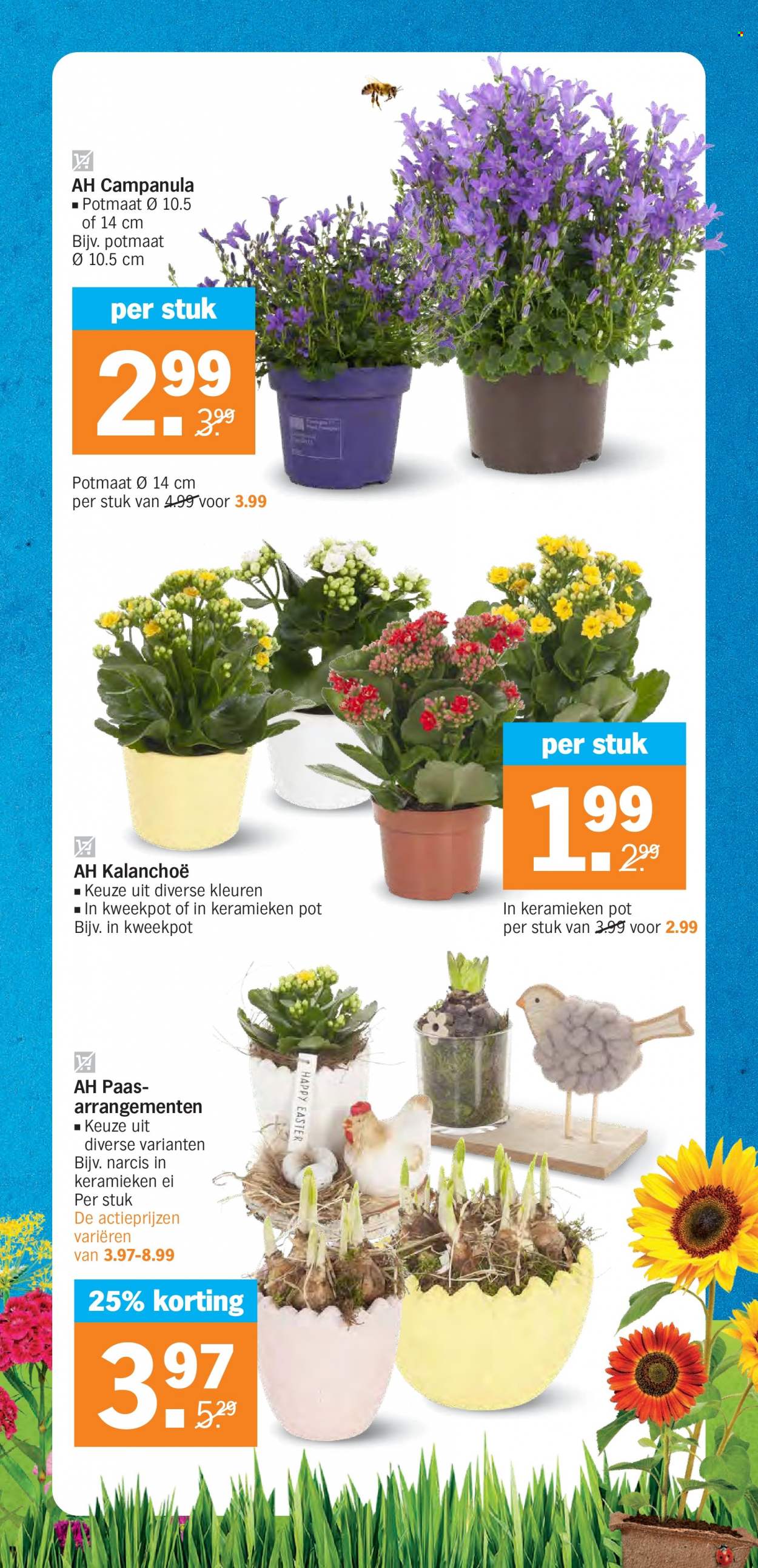 Albert Heijn-aanbieding - 27-3-2023 - 2-4-2023. Pagina 39