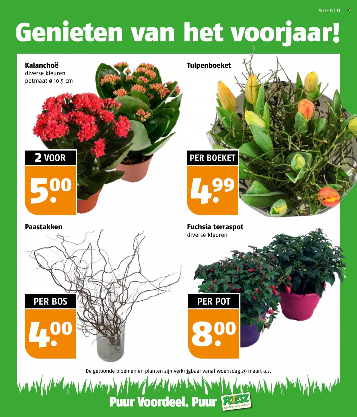 Poiesz-aanbieding - 27-3-2023 - 2-4-2023. Pagina 31