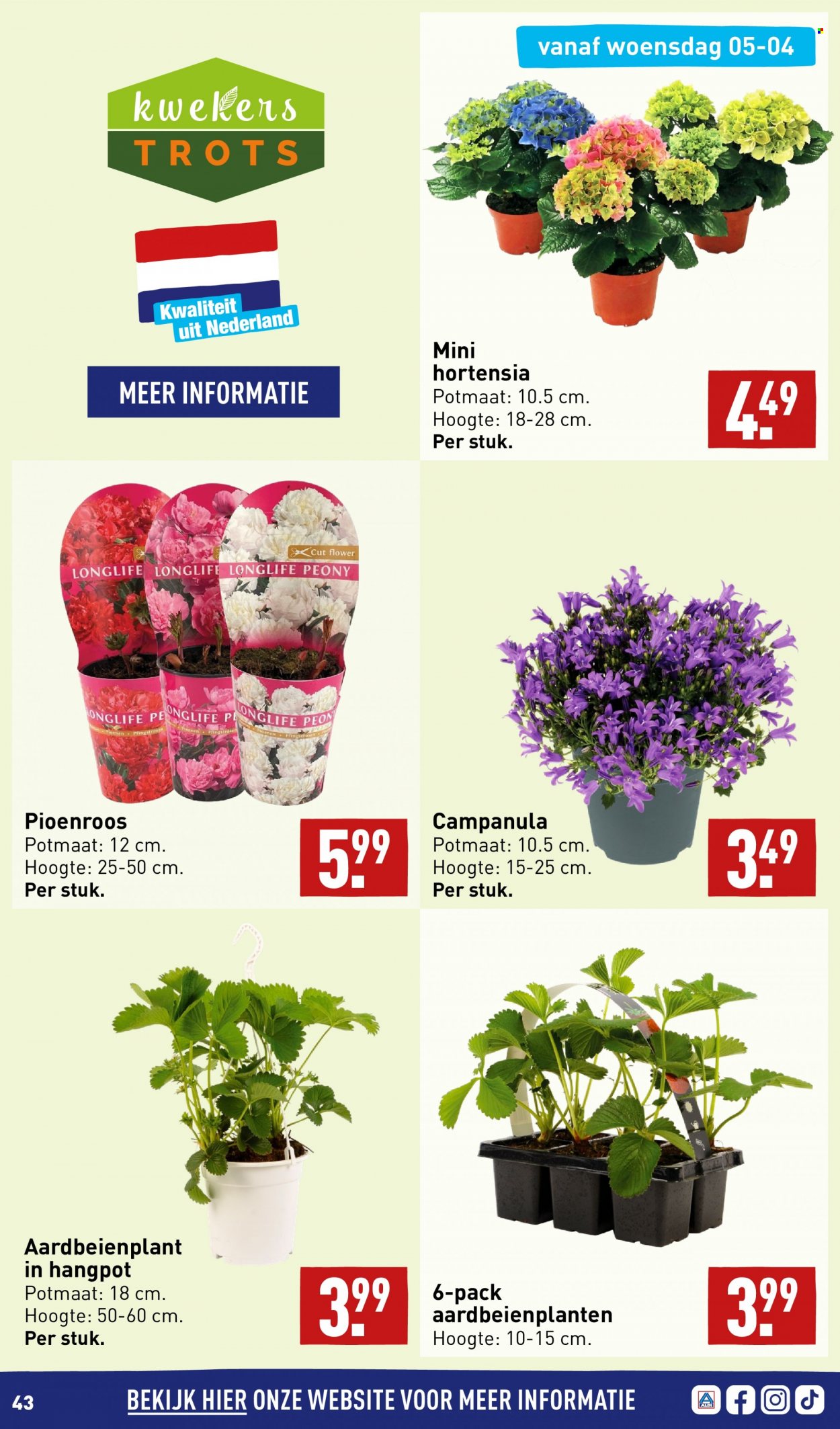Aldi-aanbieding - 3-4-2023 - 10-4-2023. Pagina 43