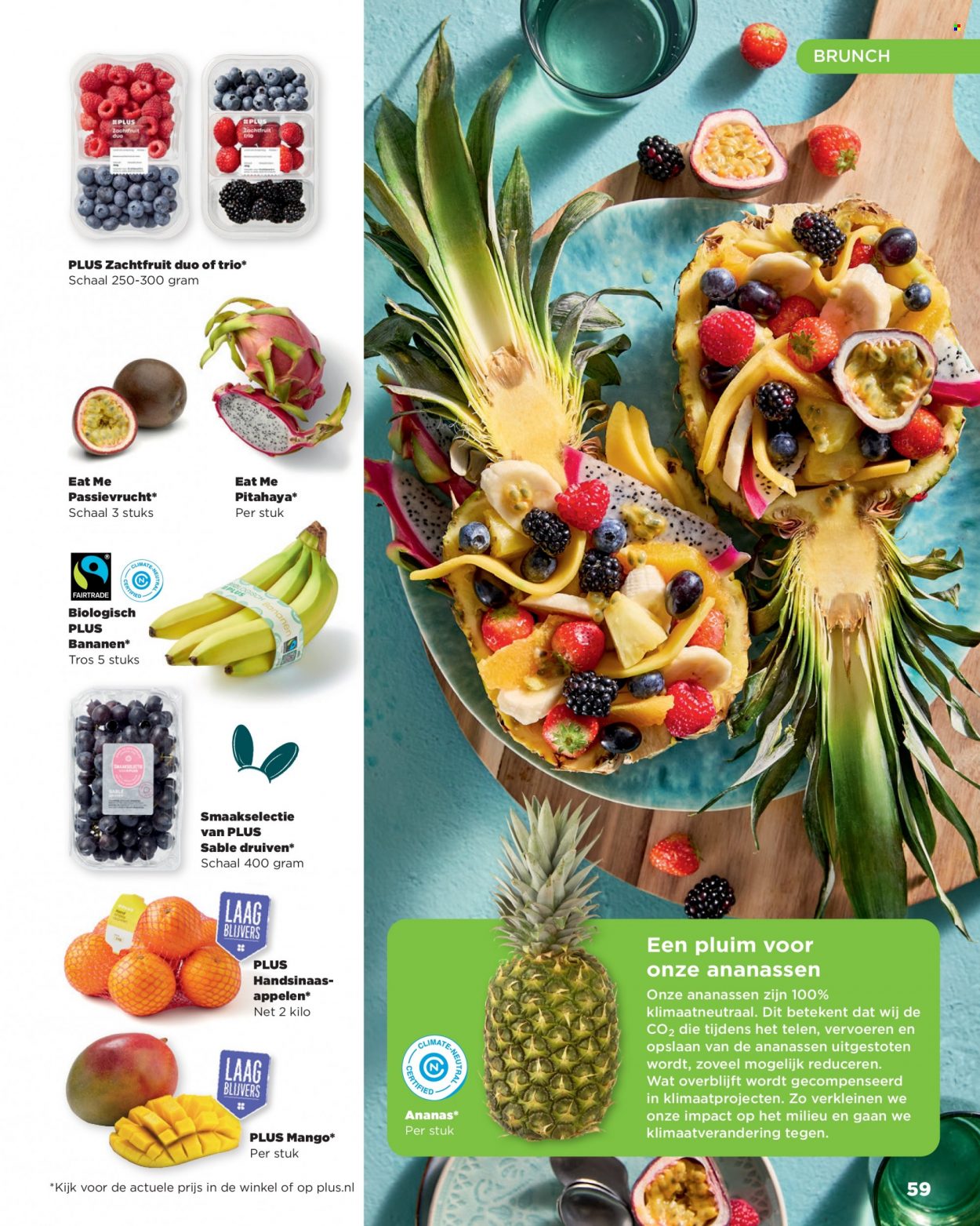 Plus-aanbieding. Pagina 59