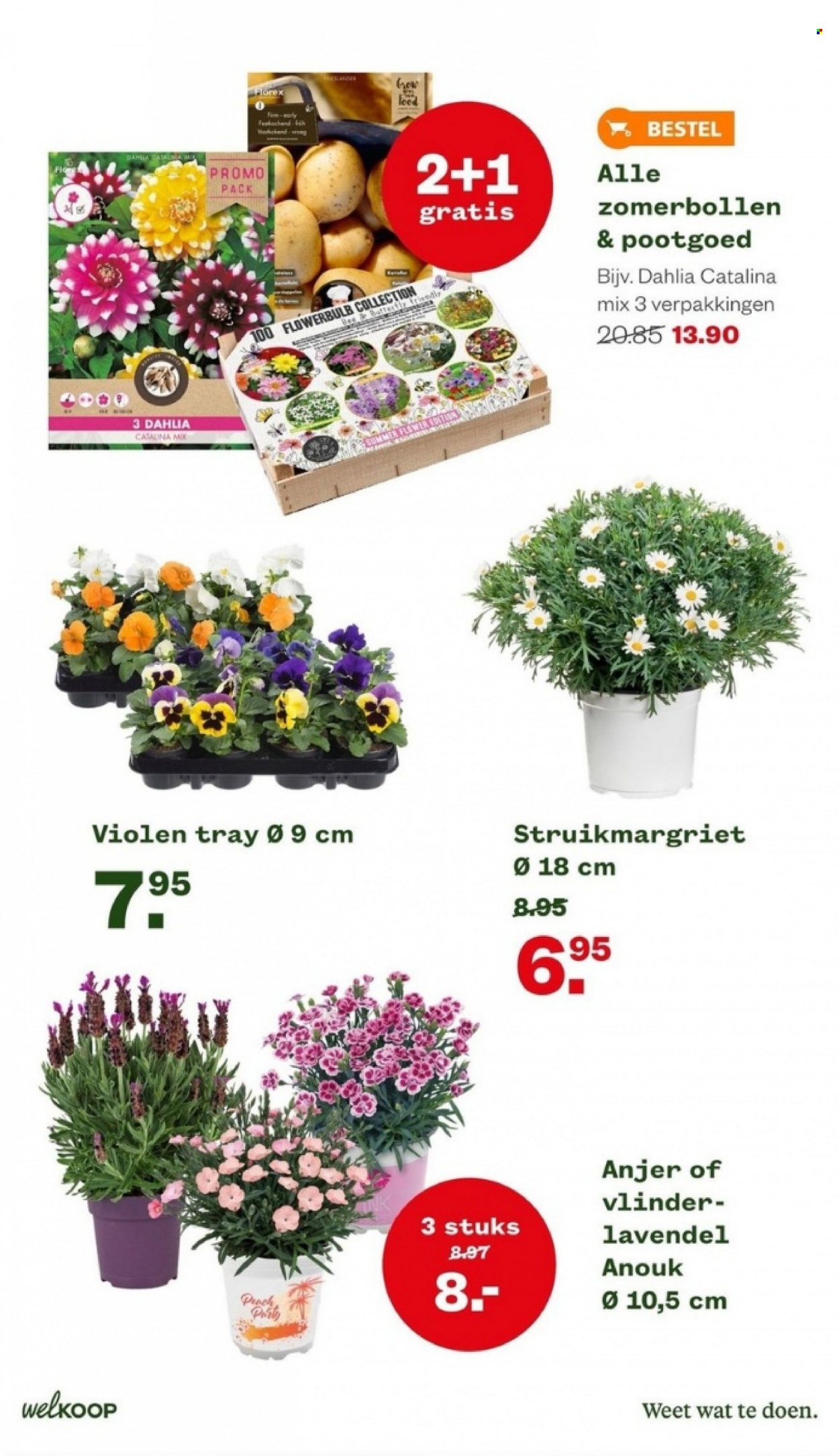 Welkoop-aanbieding - 3-4-2023 - 9-4-2023. Pagina 3