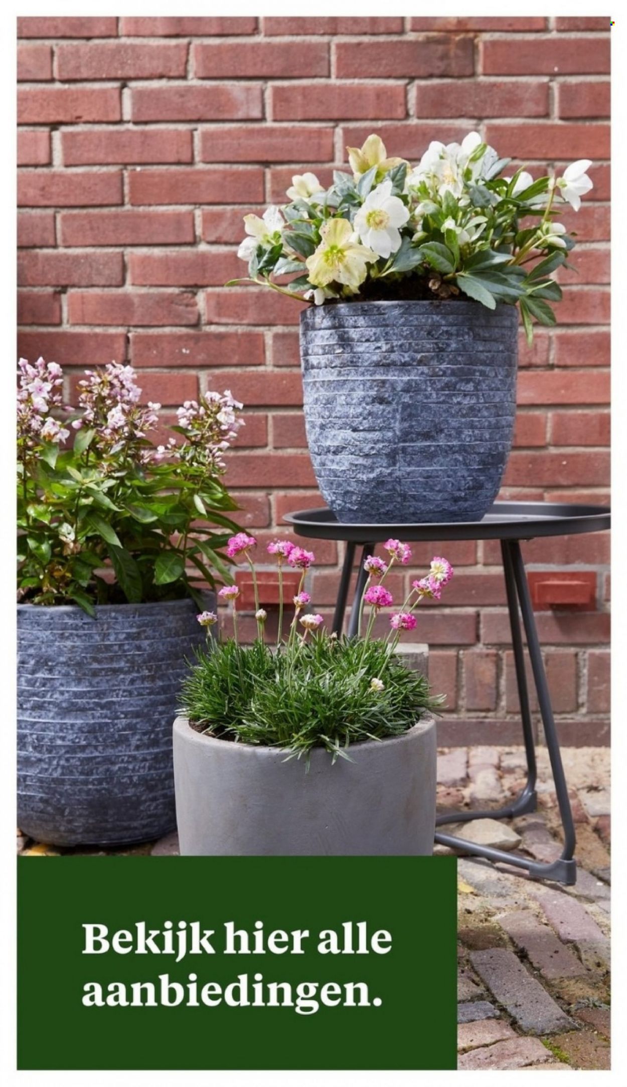 Welkoop-aanbieding - 3-4-2023 - 9-4-2023. Pagina 30