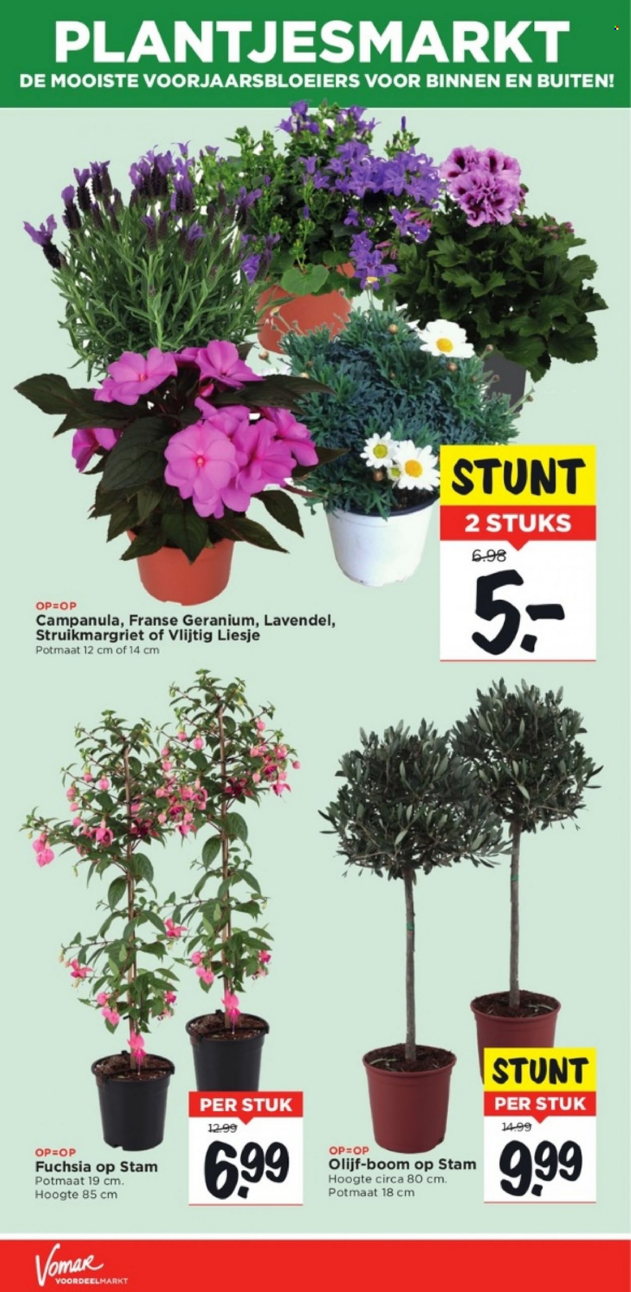 Vomar-aanbieding - 9-4-2023 - 15-4-2023. Pagina 32