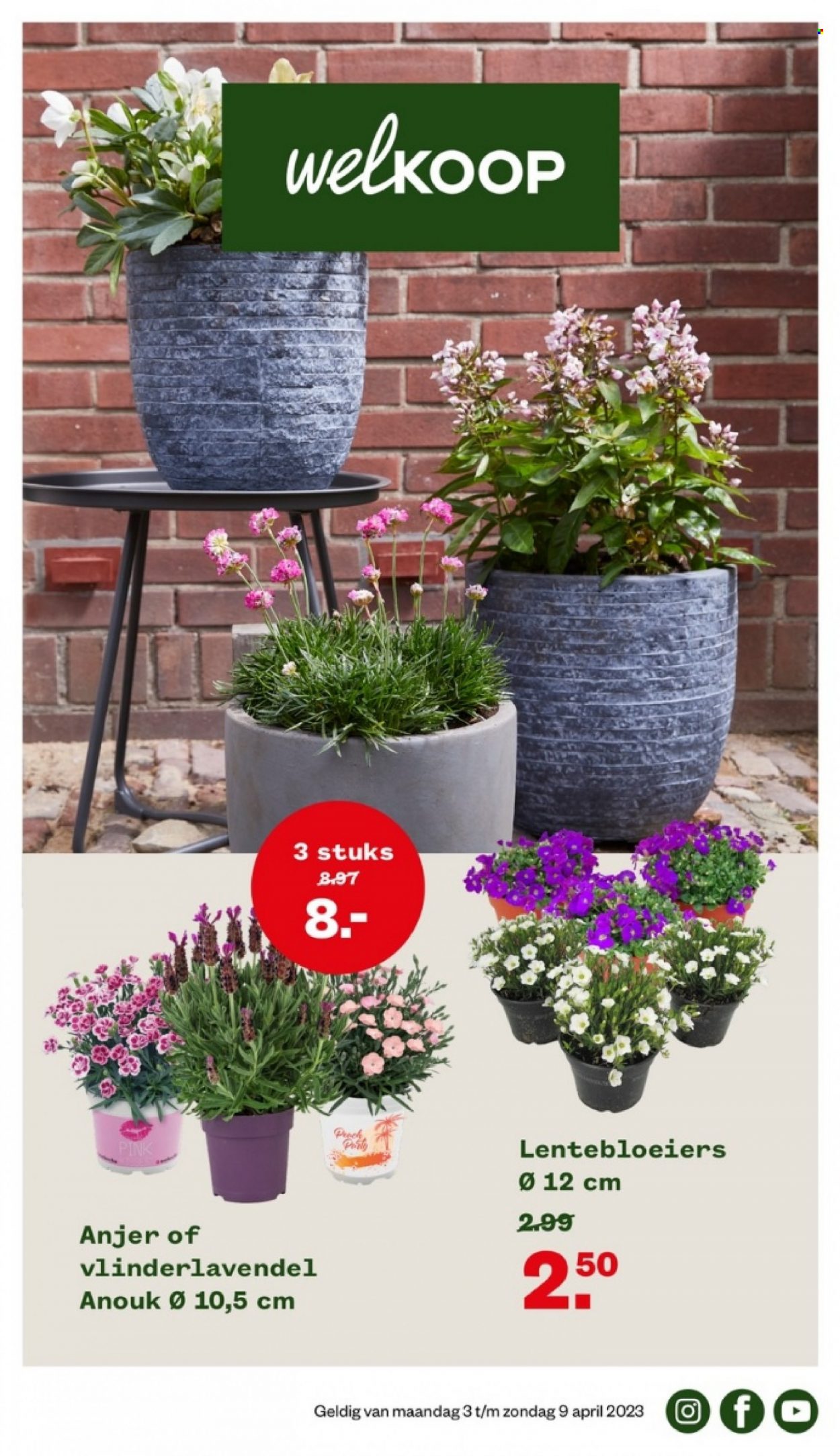 Welkoop-aanbieding - 3-4-2023 - 9-4-2023. Pagina 1