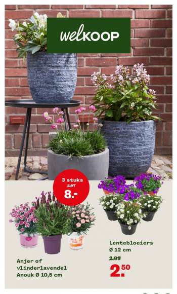 Welkoop-aanbieding - 3-4-2023 - 9-4-2023.