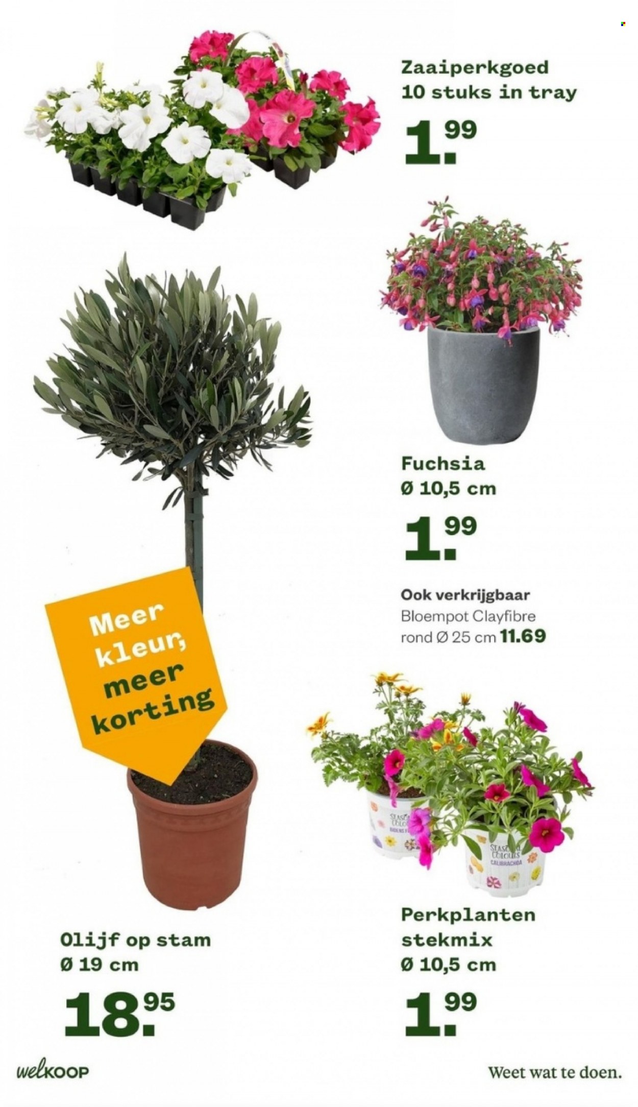 Welkoop-aanbieding - 10-4-2023 - 23-4-2023. Pagina 3