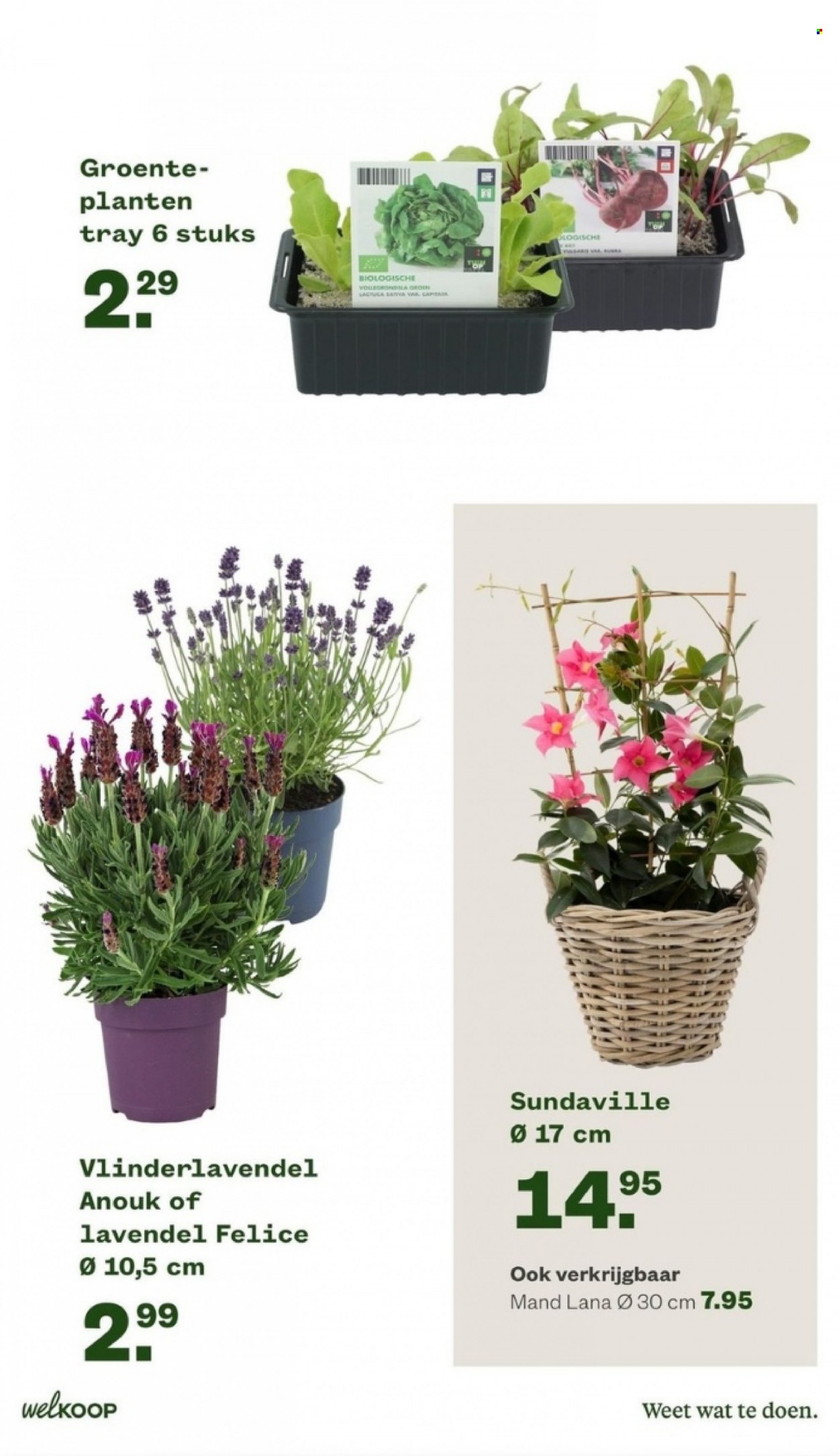 Welkoop-aanbieding - 10-4-2023 - 23-4-2023. Pagina 5
